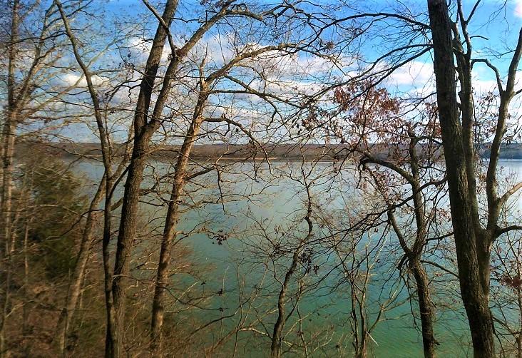 water and trees view of Tennessee River