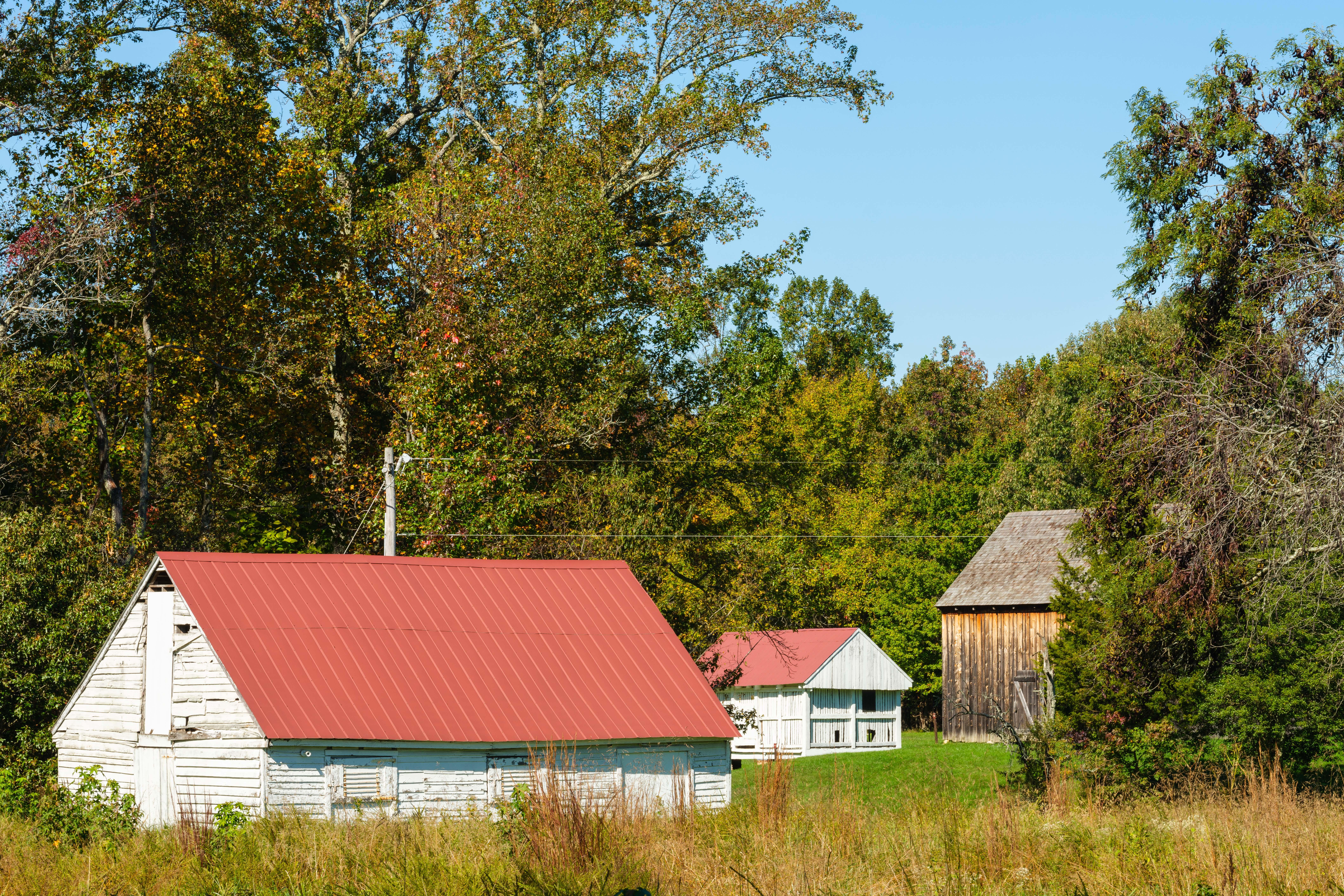 Roof of horse barn with tobacco barn and corn crib in background