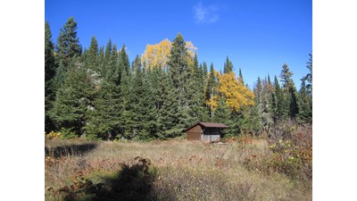 A shelter sits along trees across a field with a blue sky above