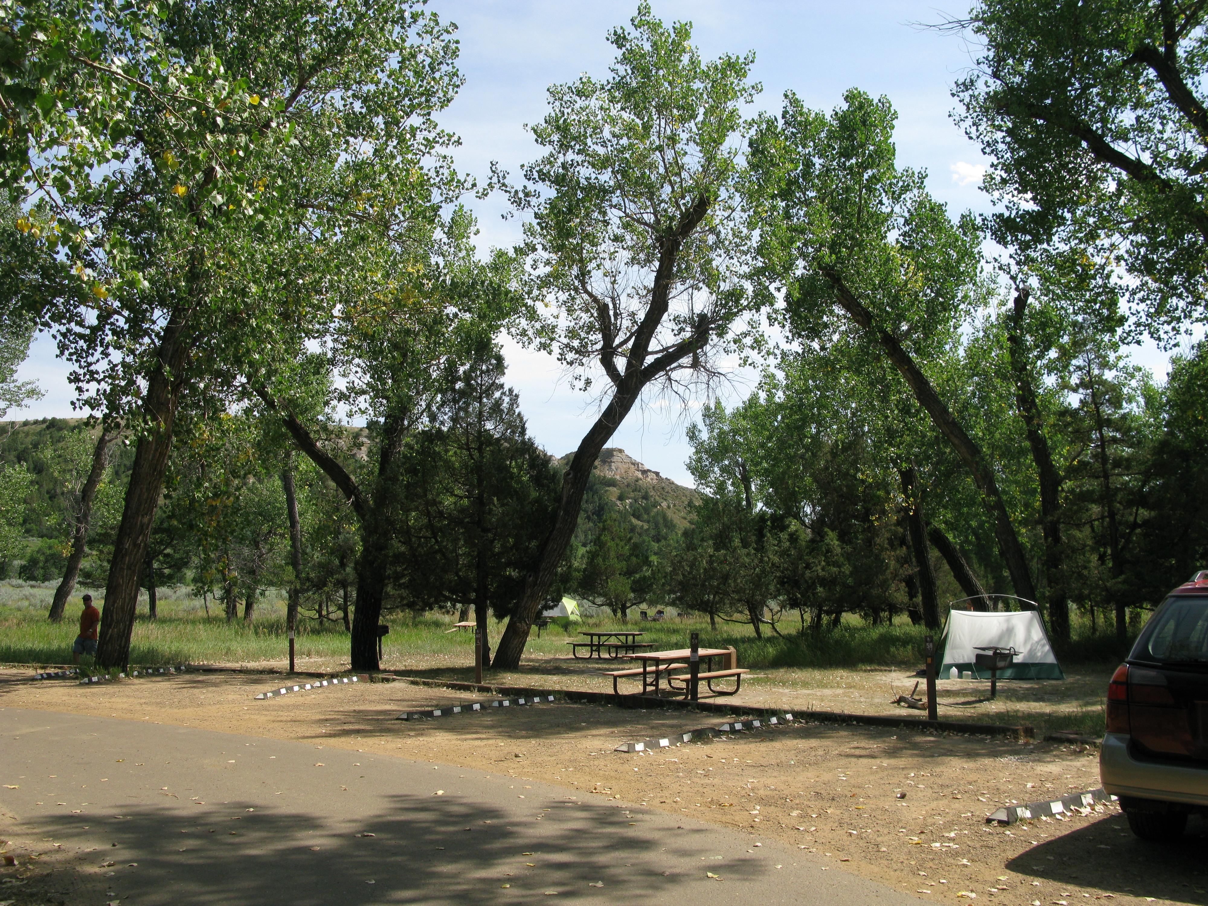 A quiet campground setting with tents and picnic tables beneath spindly cottonwood trees.
