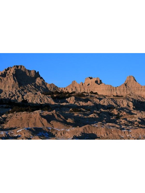 dark plants take root in a large pile of debris crumbling down the side of a jagged badlands butte.