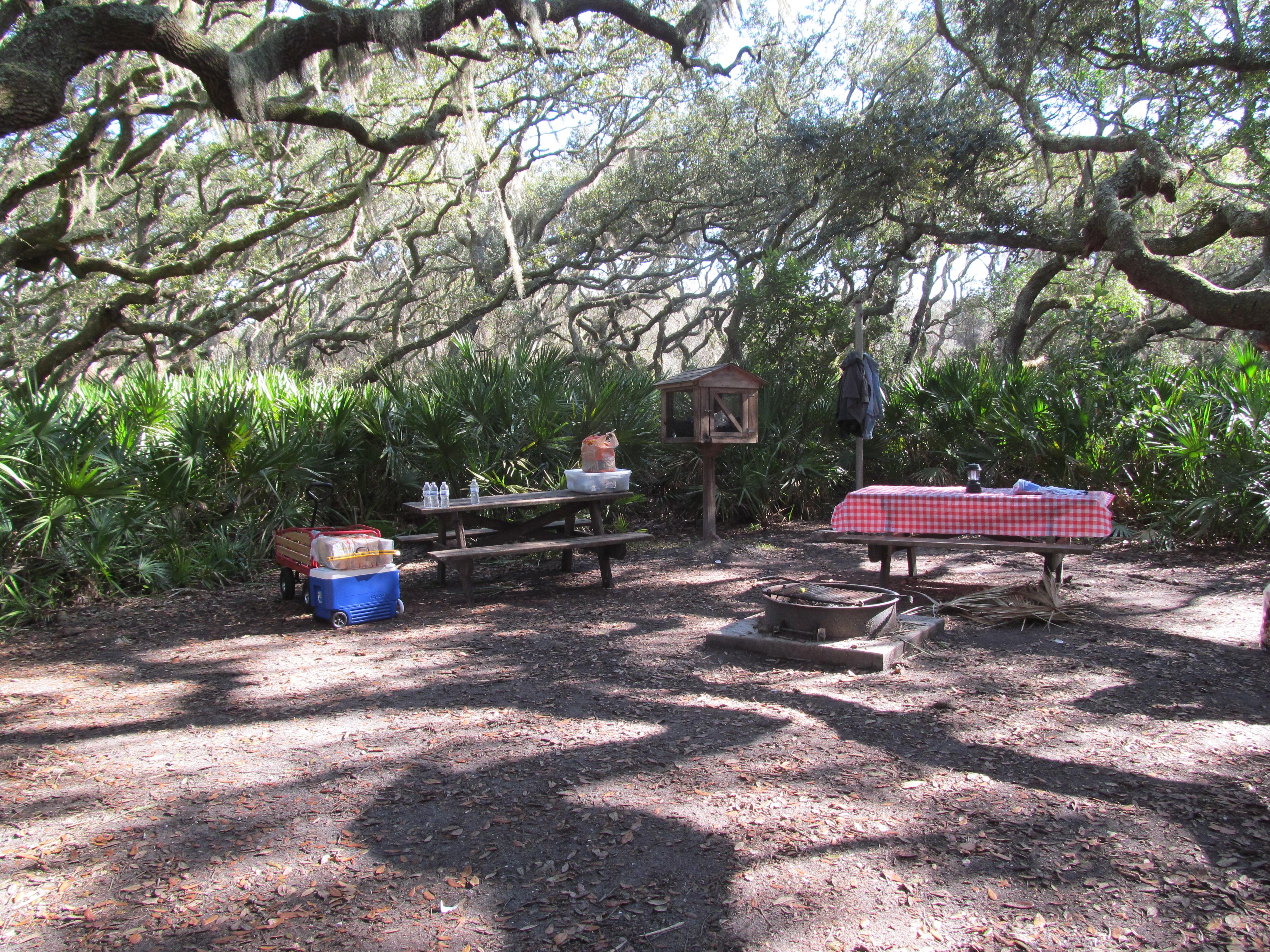 campsite with picnic table, food cage, and fire ring under live oak trees