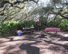 Cumberland Island Camping - Main photo