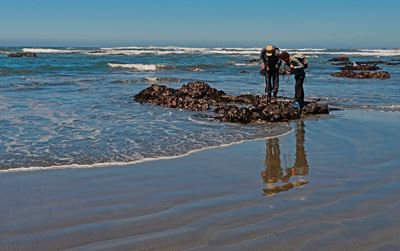 Two visitors looking at tidepools.