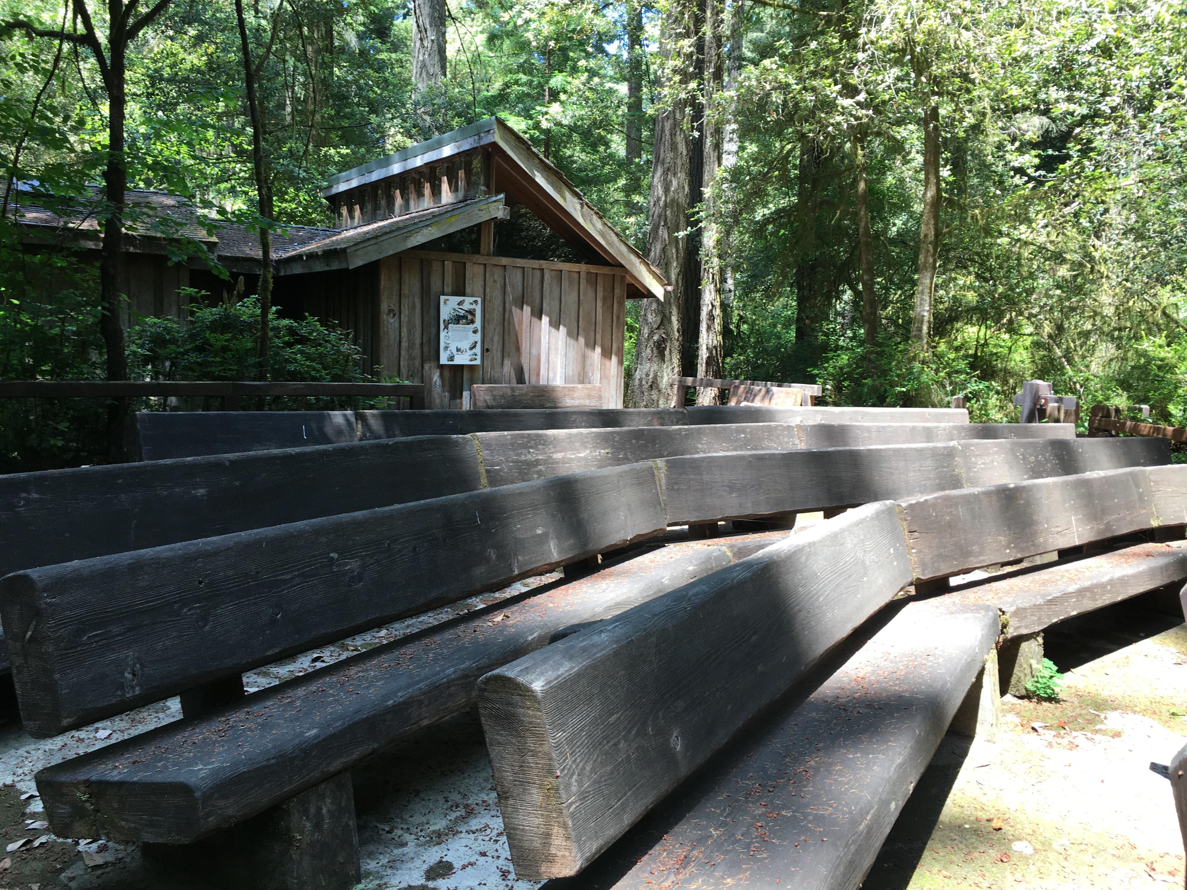 Wooden benches in front of a brown building and redwood trees.