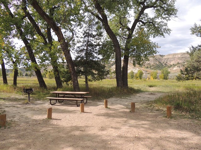 A campsite beneath cottonwood trees with an open field and buttes in the distance