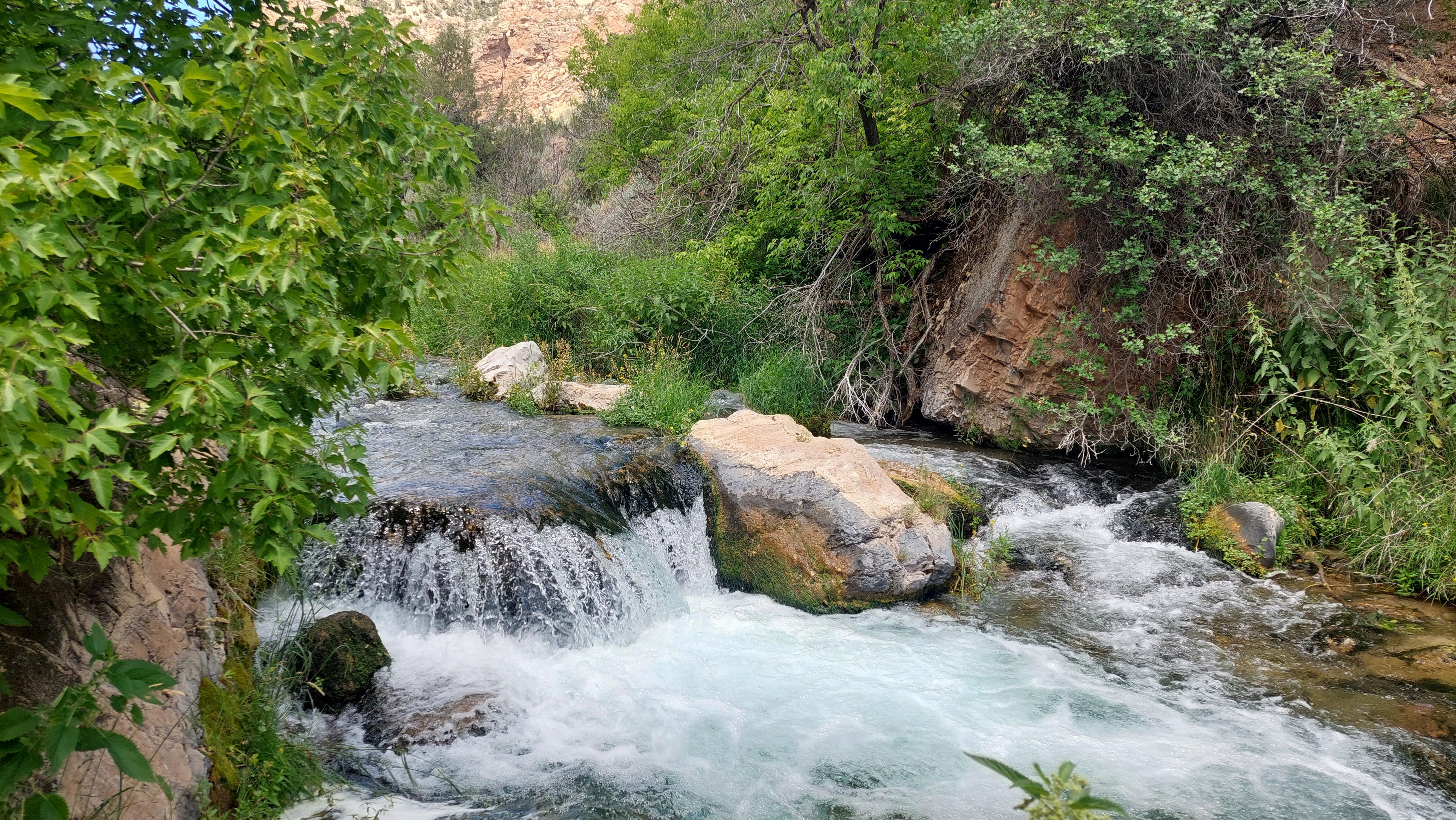 A small waterfall in a fast flowing creek, moving through a green forest.