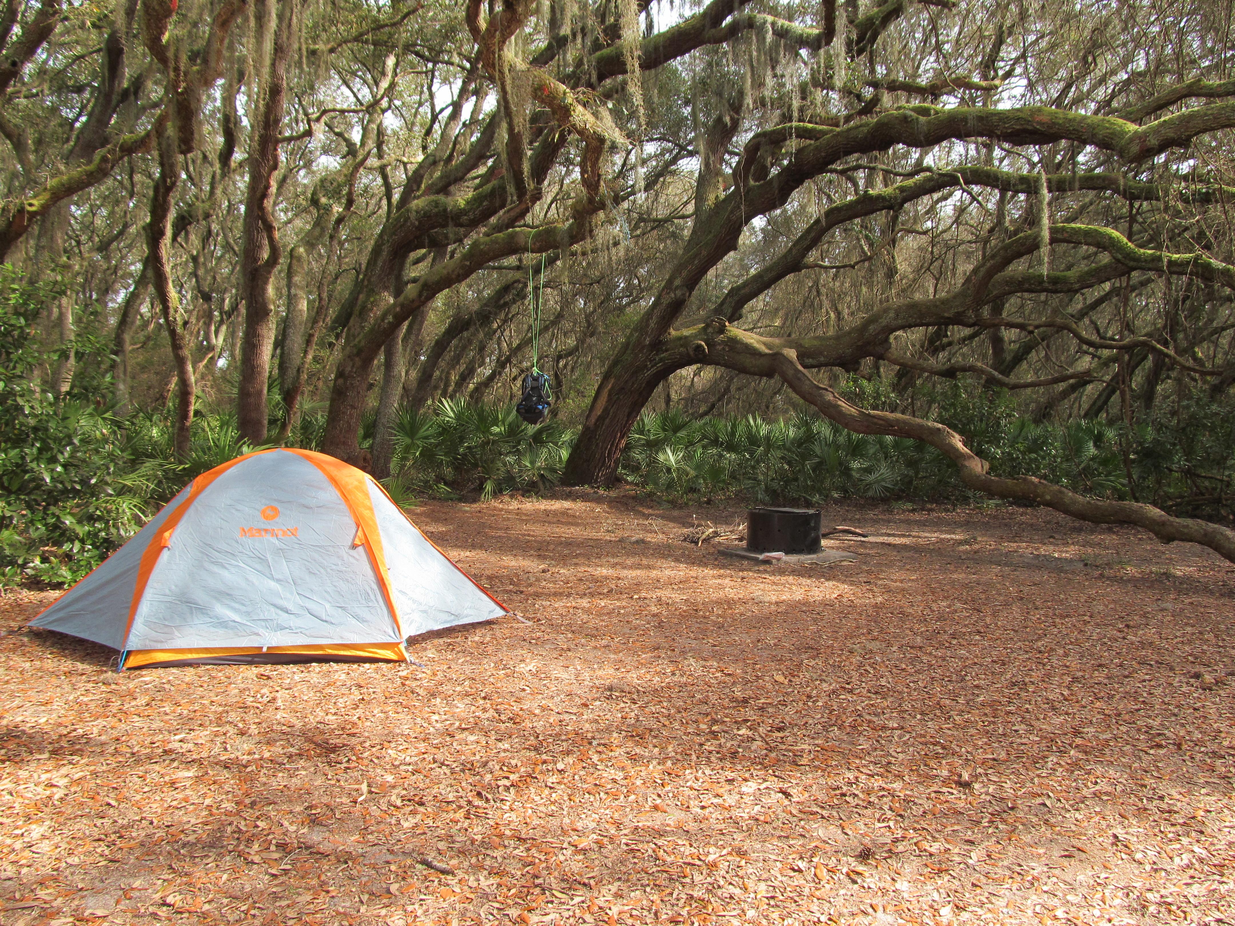 Tent and fire pit under arching live oak branches