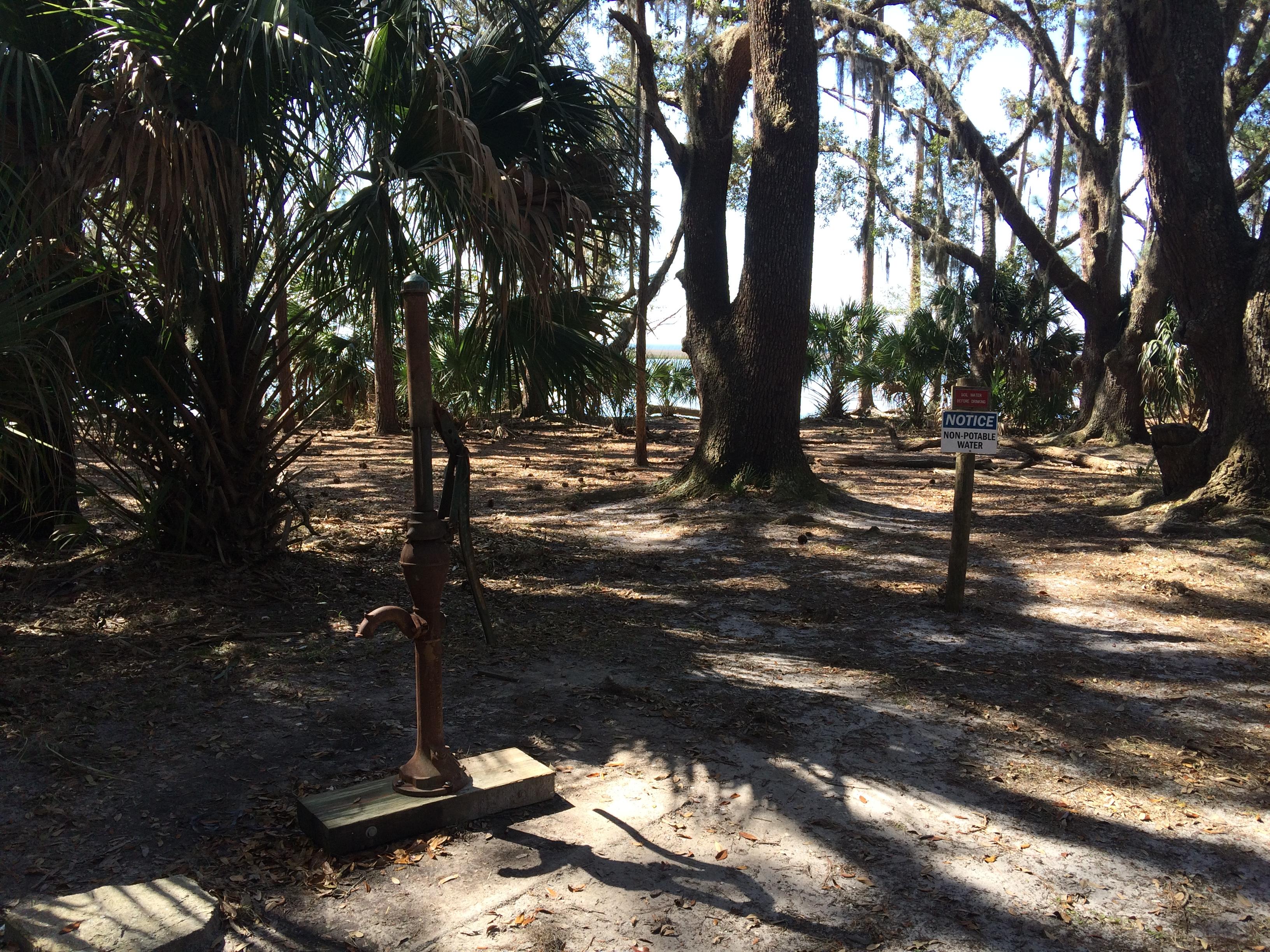 campsite along water with palm trees and water pump
