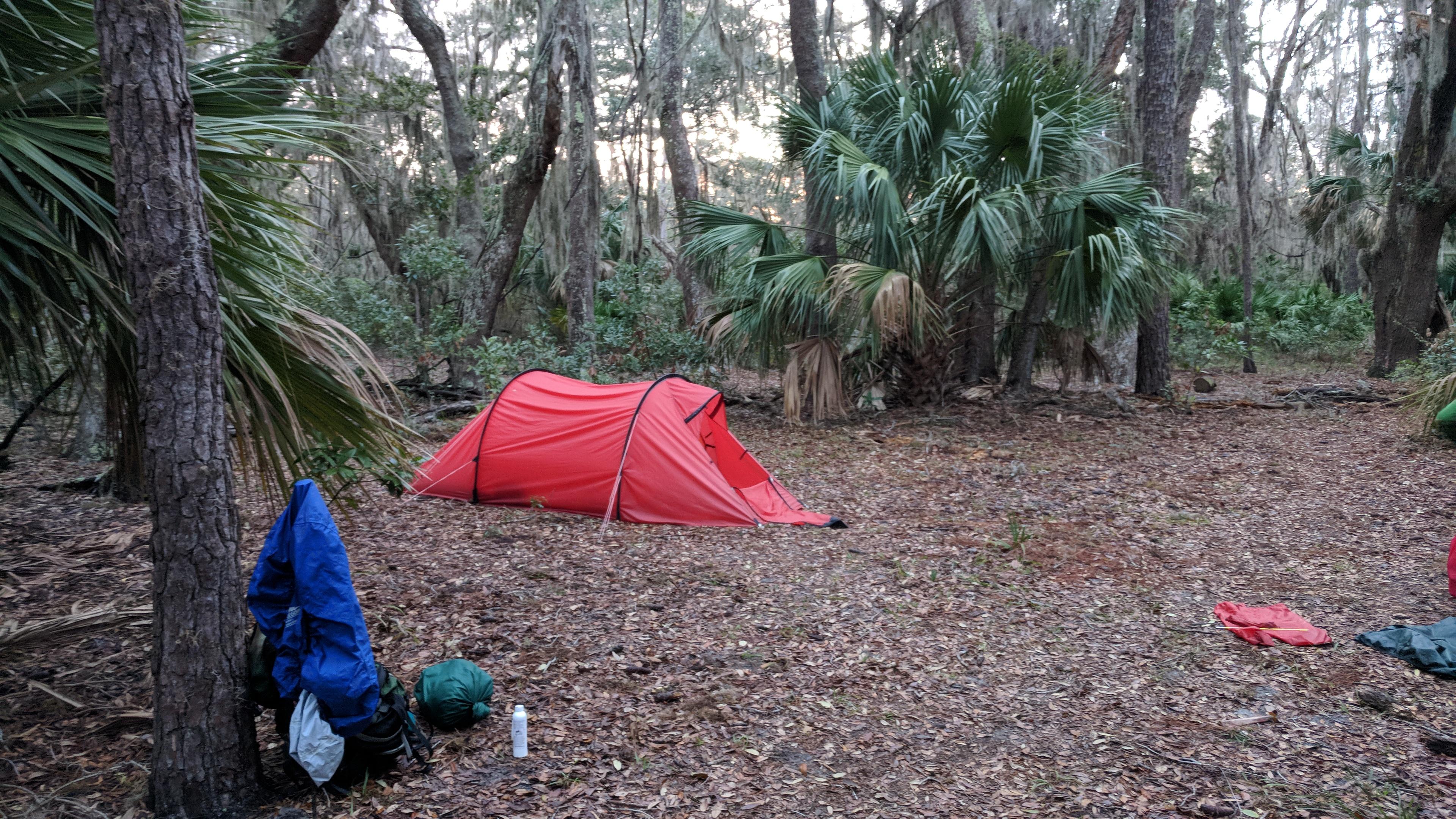 red tent and backpack set up under palm and oak trees
