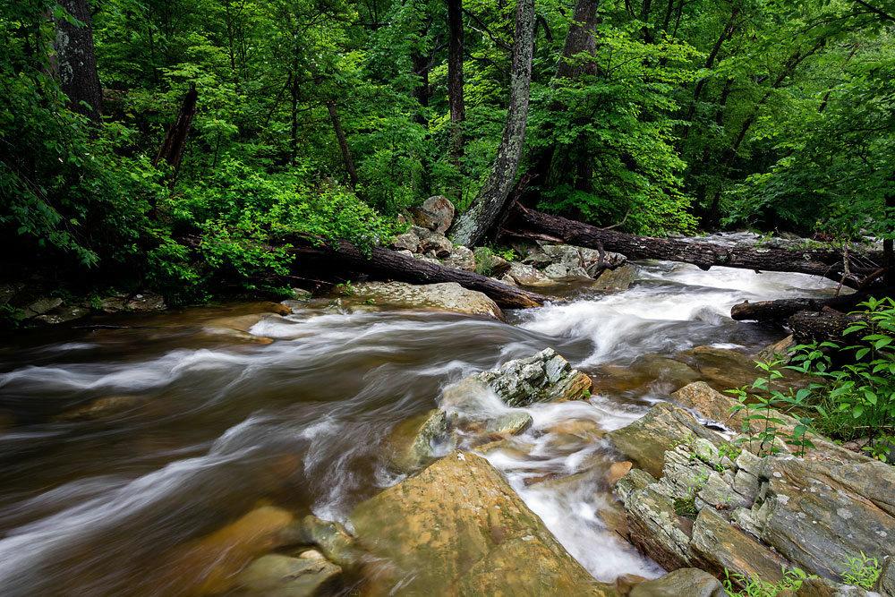 A fast flowing stream cutting through a green forest.