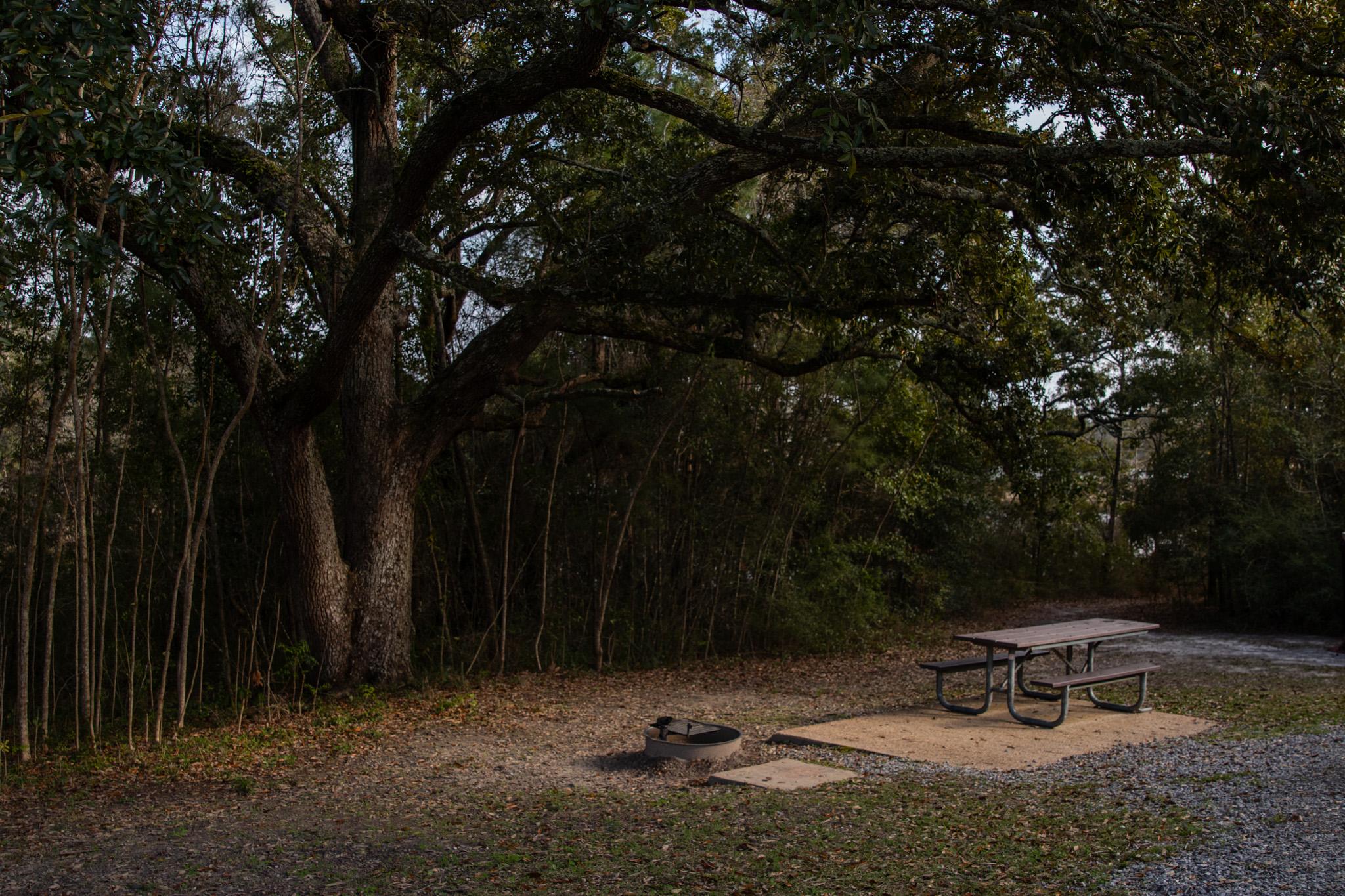 picnic table