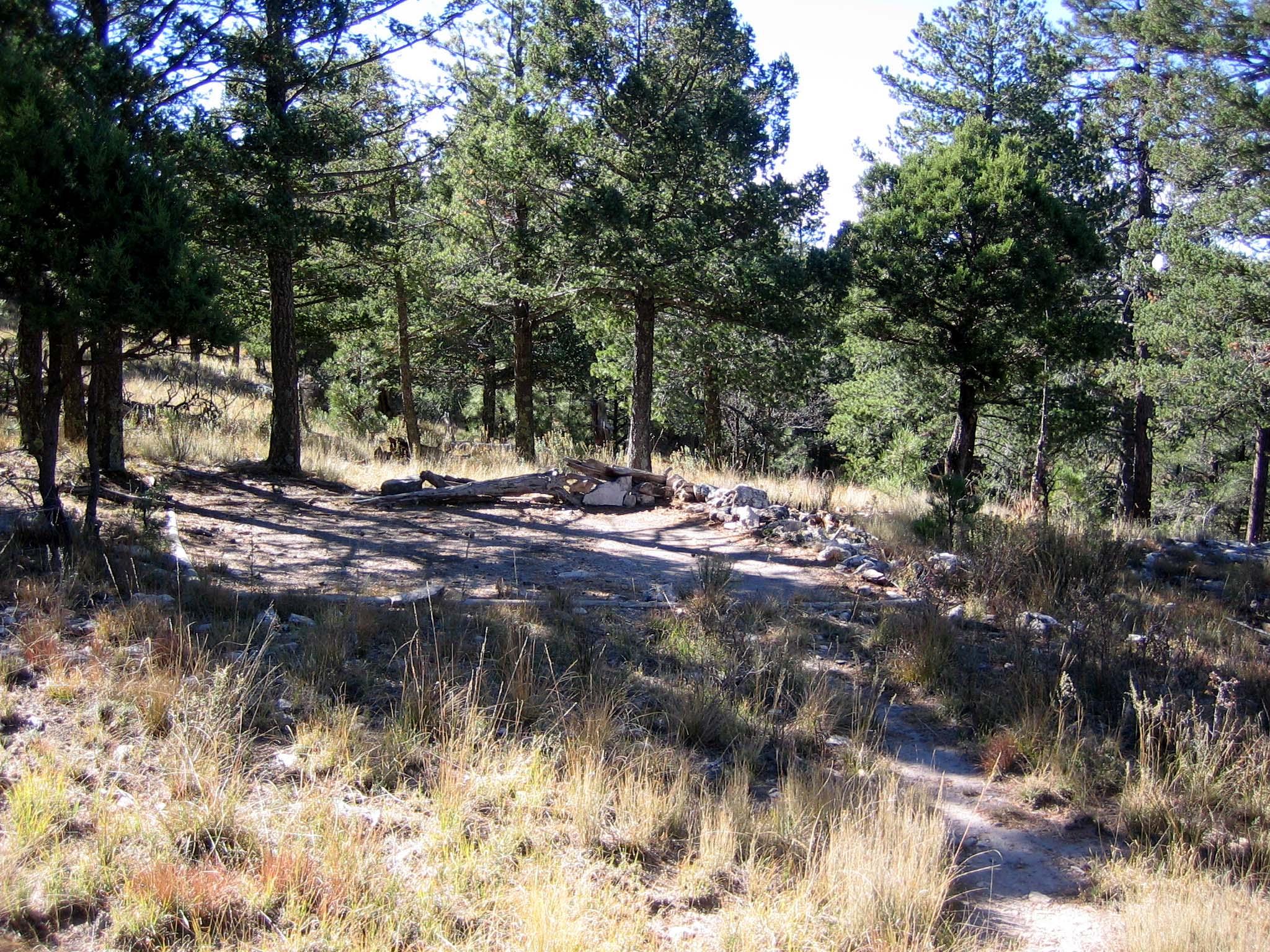 A hardened surface for tents in grass and forest