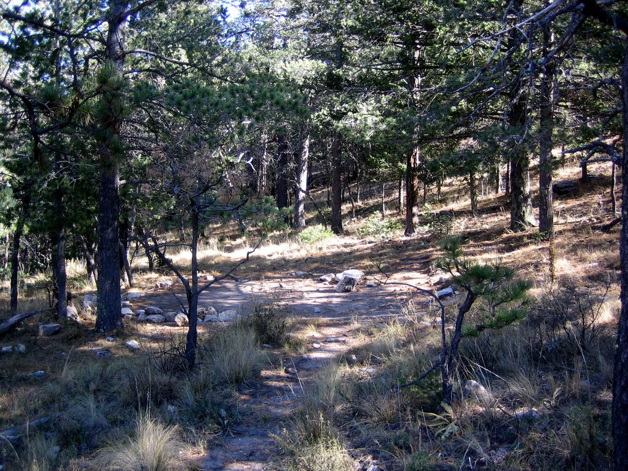 Wilderness Campgrounds - Photo 3