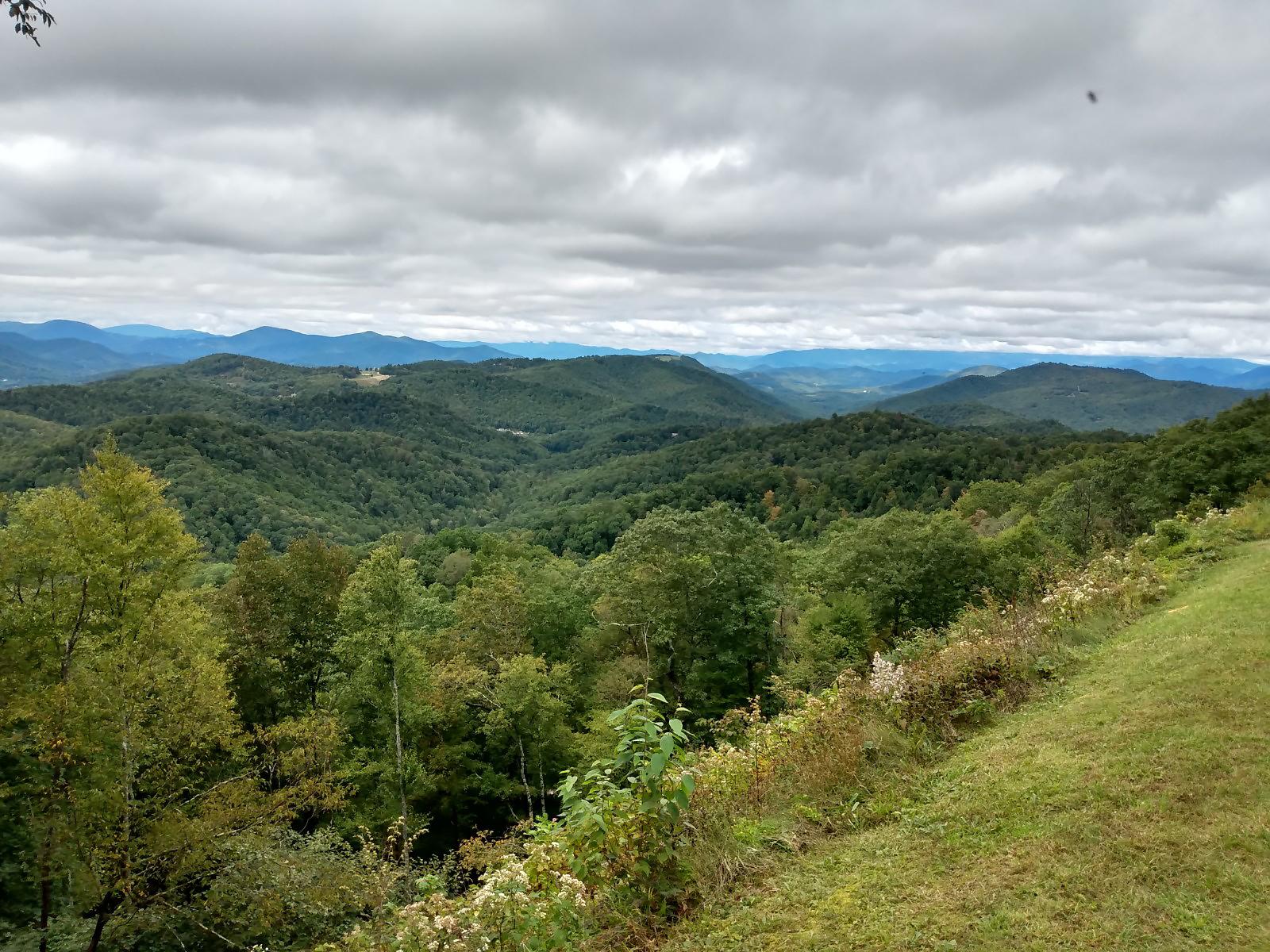 Forested valley with mountains in the distance