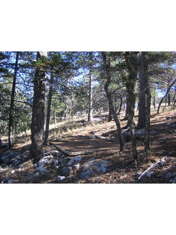 A hardened surface for a tent among rocks and trees