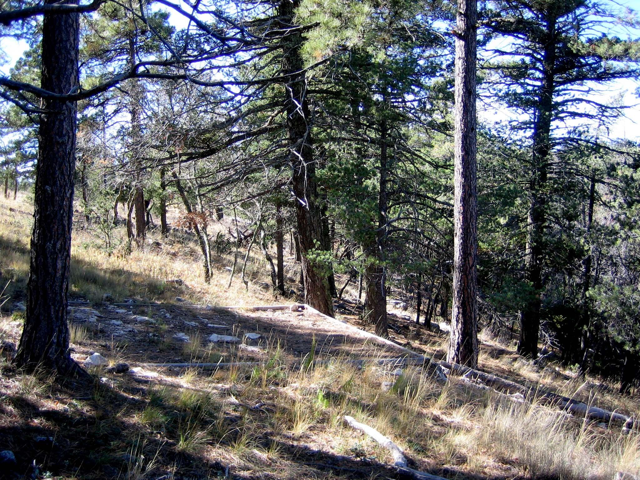 A hardened surface for a tent on a slope