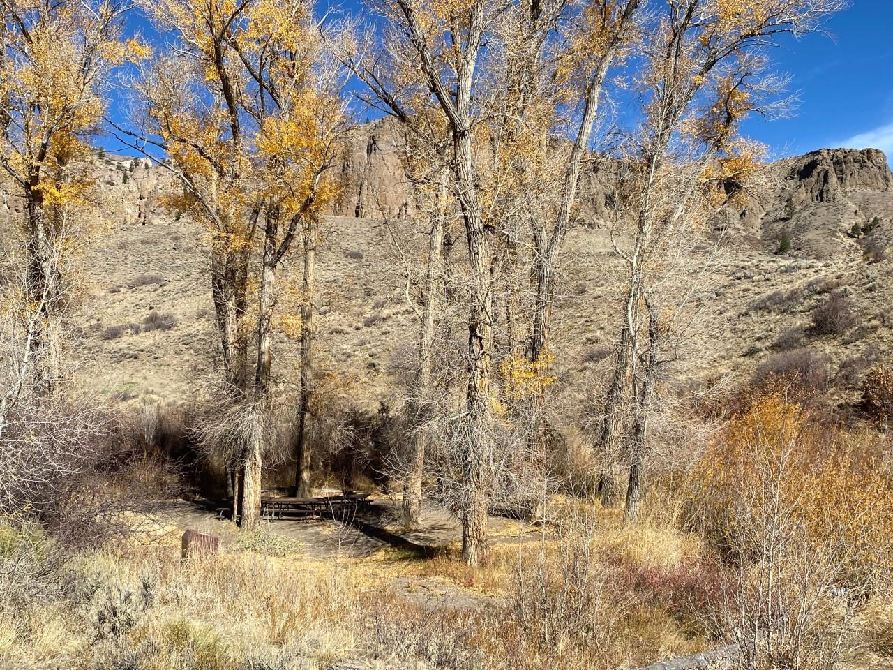 Red Creek Campground Group Site