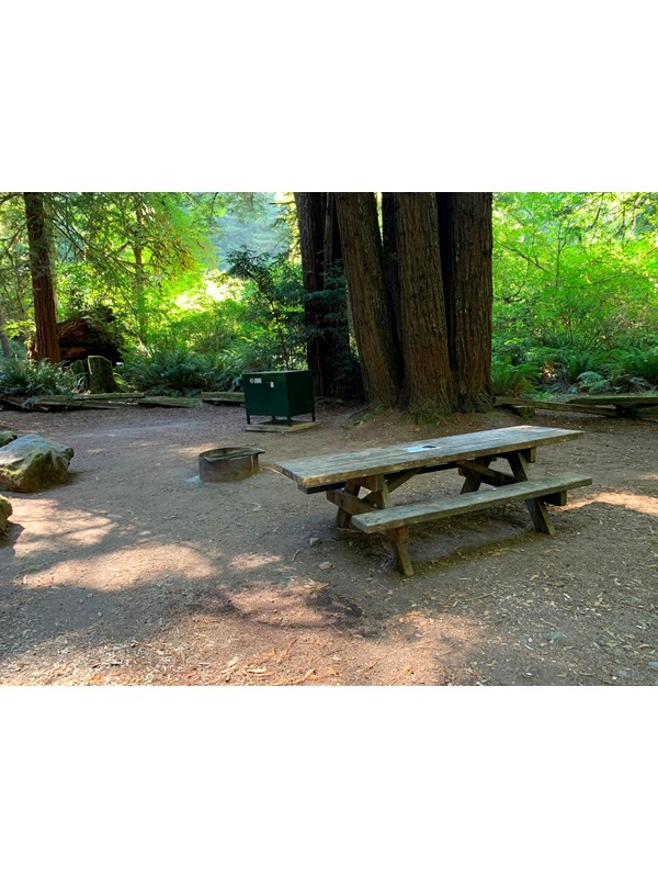 Picnic table, fire ring and food locker