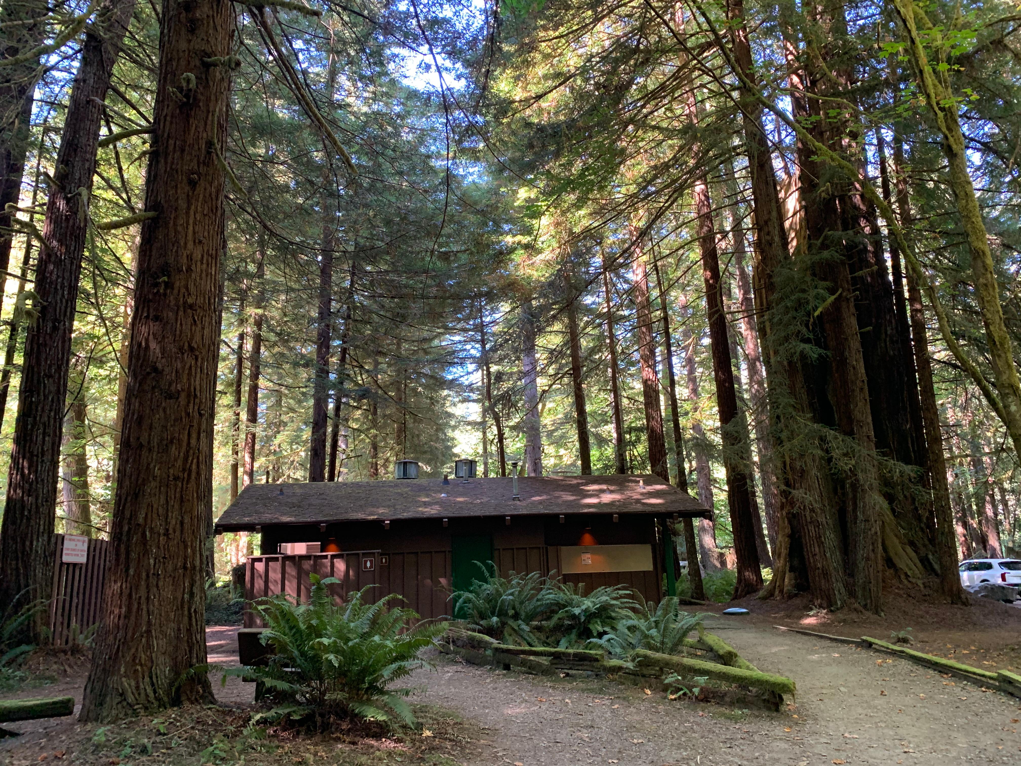 Del Norte Coast Redwoods SP