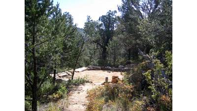 A hardened surface for a tent is outlined by rocks in a forest