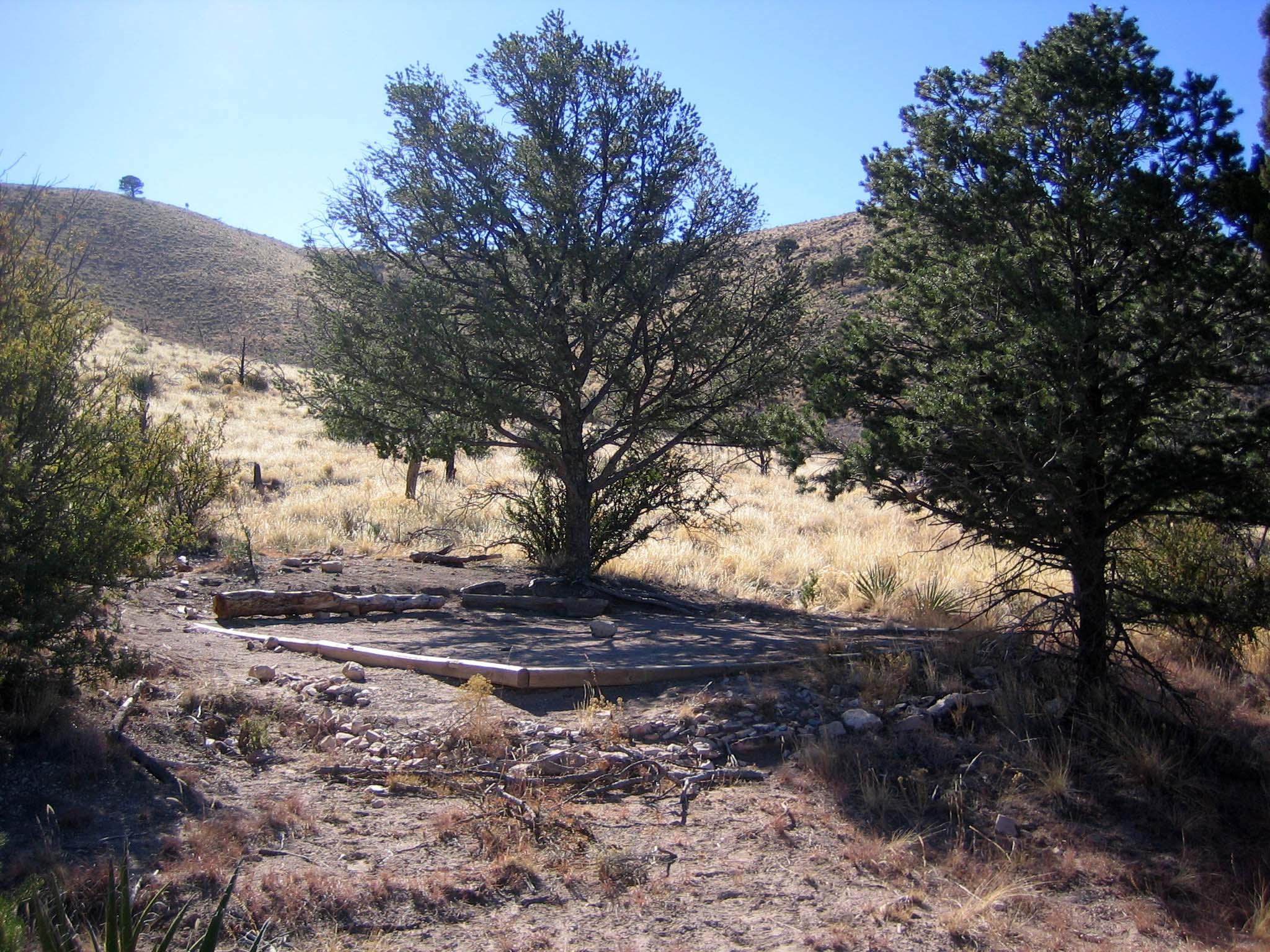 A hardened surface for a tent below a few trees