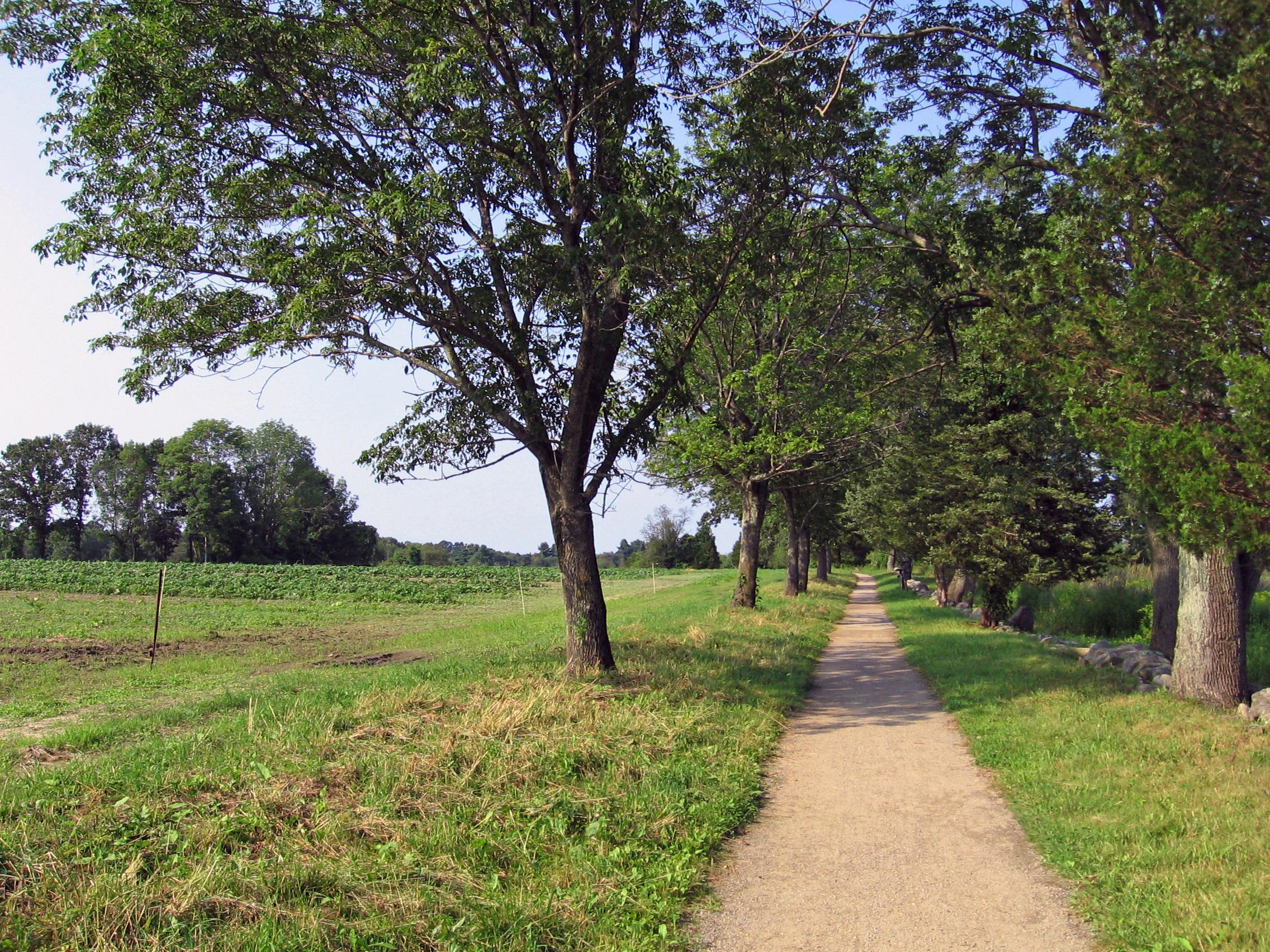 A narrow dirt track runs through green fields shaded by large trees.