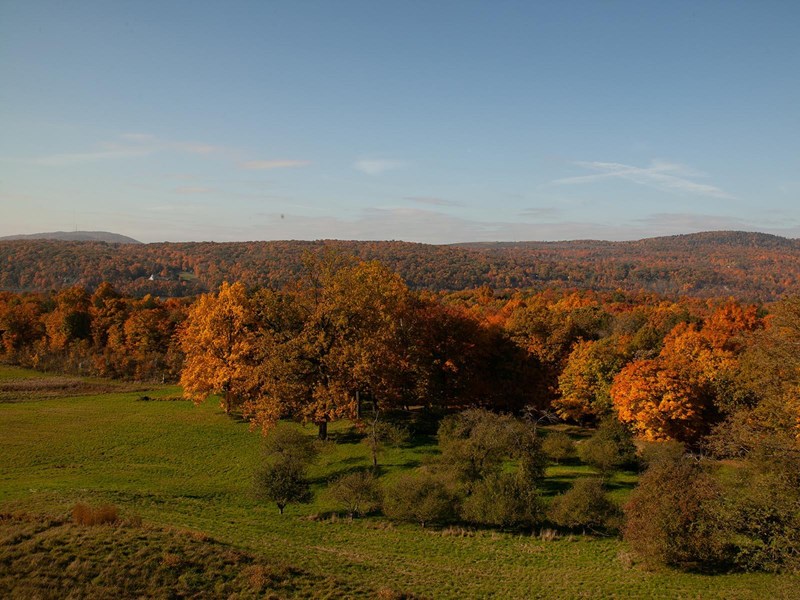 View of the Hudson Highlands A vast lawn with apple orchard and mountain range in the distance.