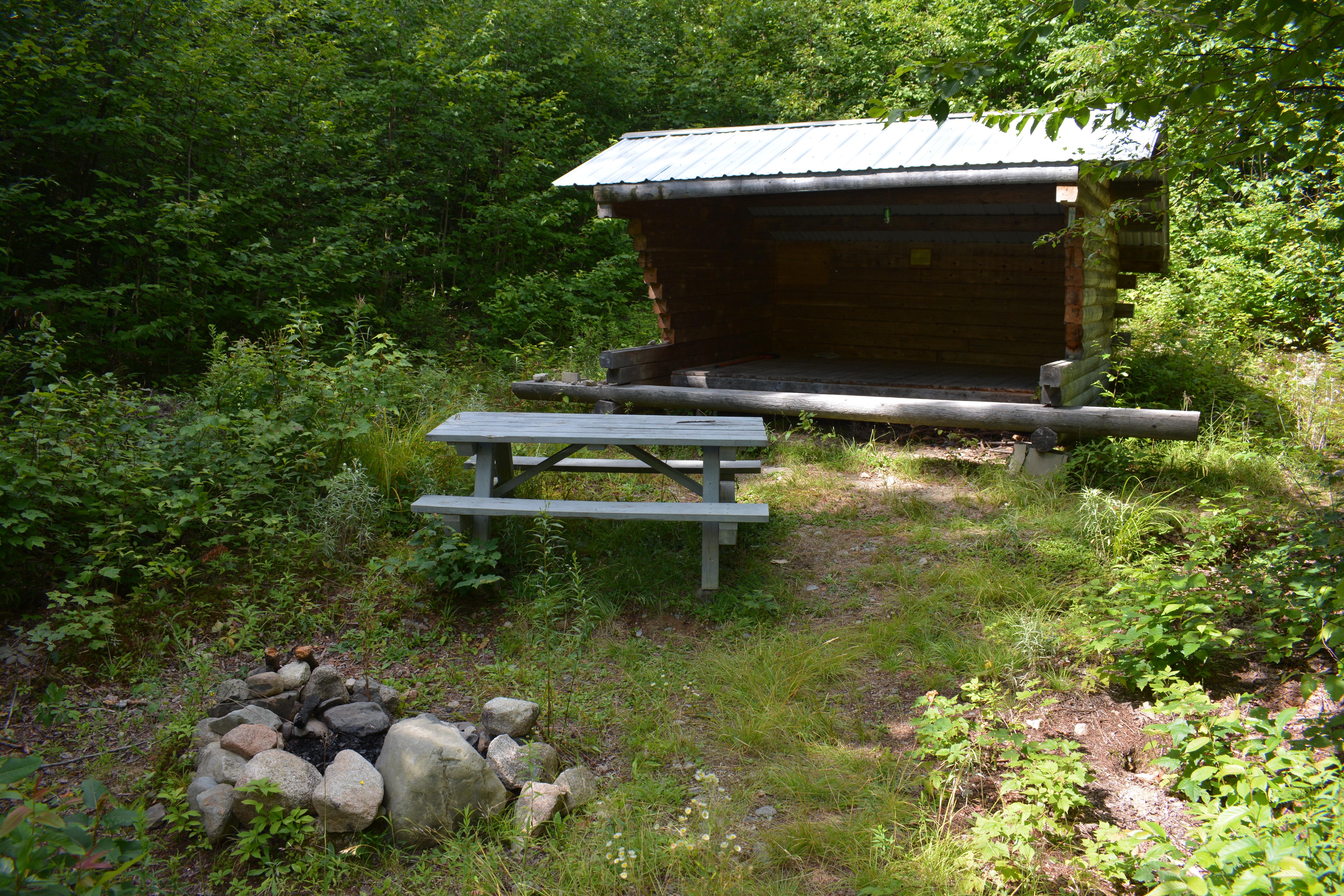 A rustic stone firepit in front of a picnic table and Lean-to. Surrounded by trees and shrubs.