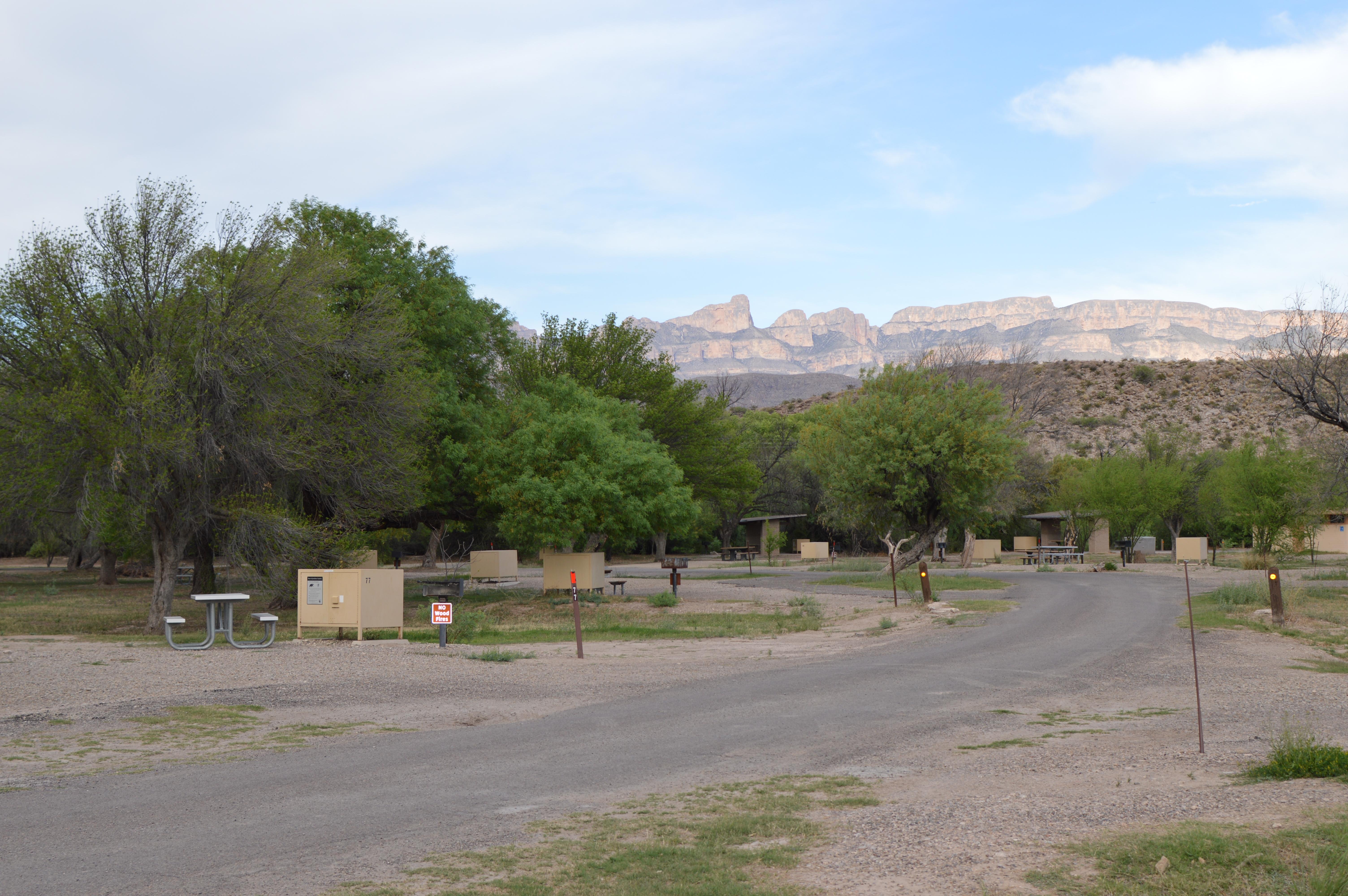 Rio Grande Village Campground