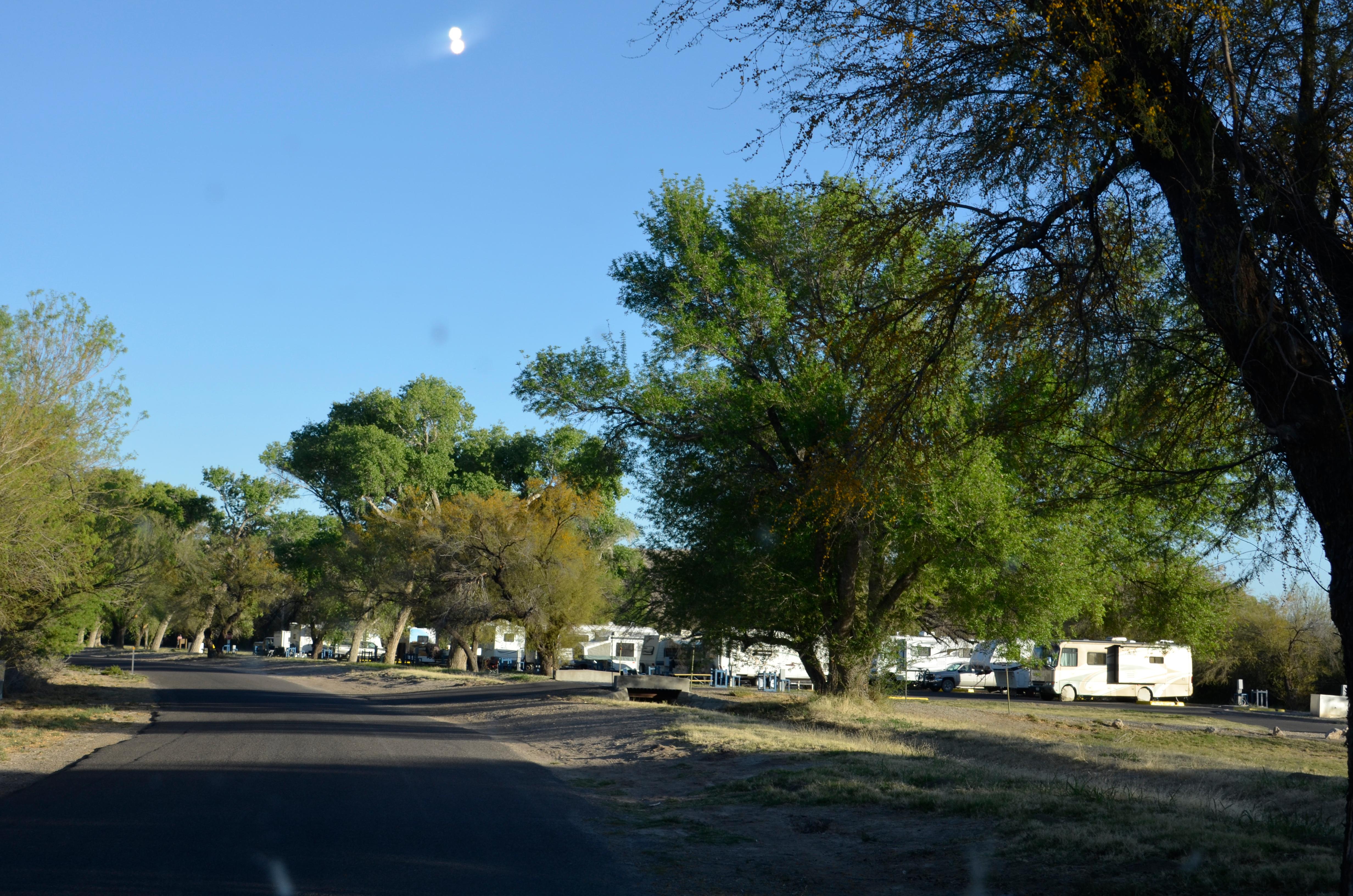 Rio Grande Village RV sites