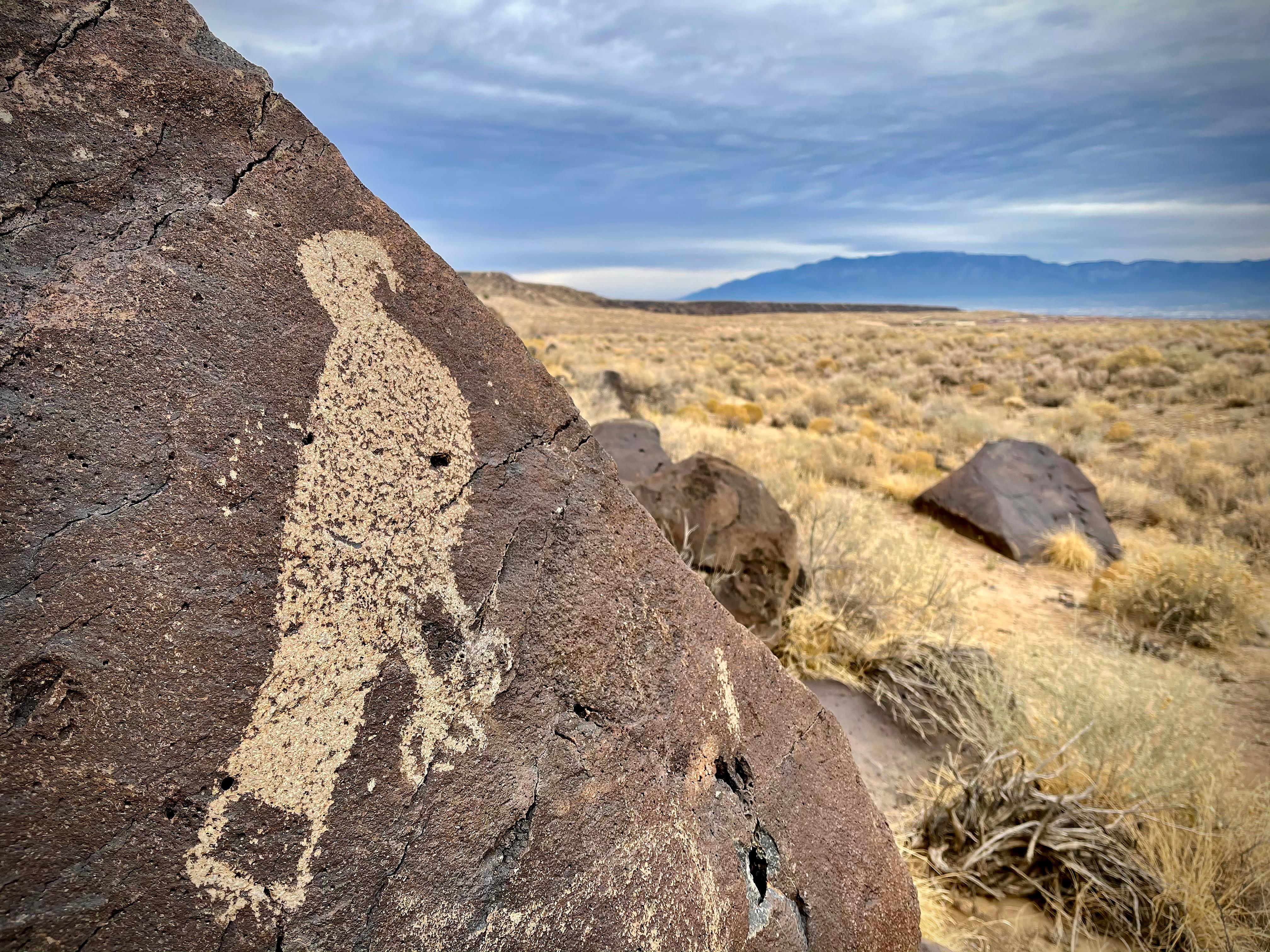 A petroglyph of a hawk on a dark boulder with a cloudy sky and mountains in the background.