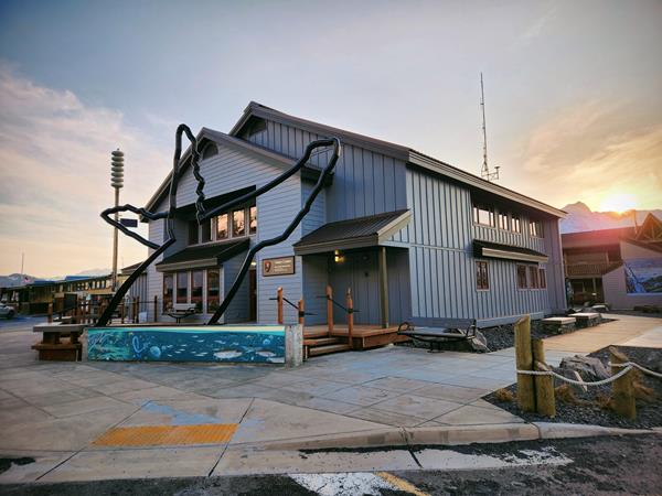 A grey building with humpback whale outline statue with sunrise in the background.