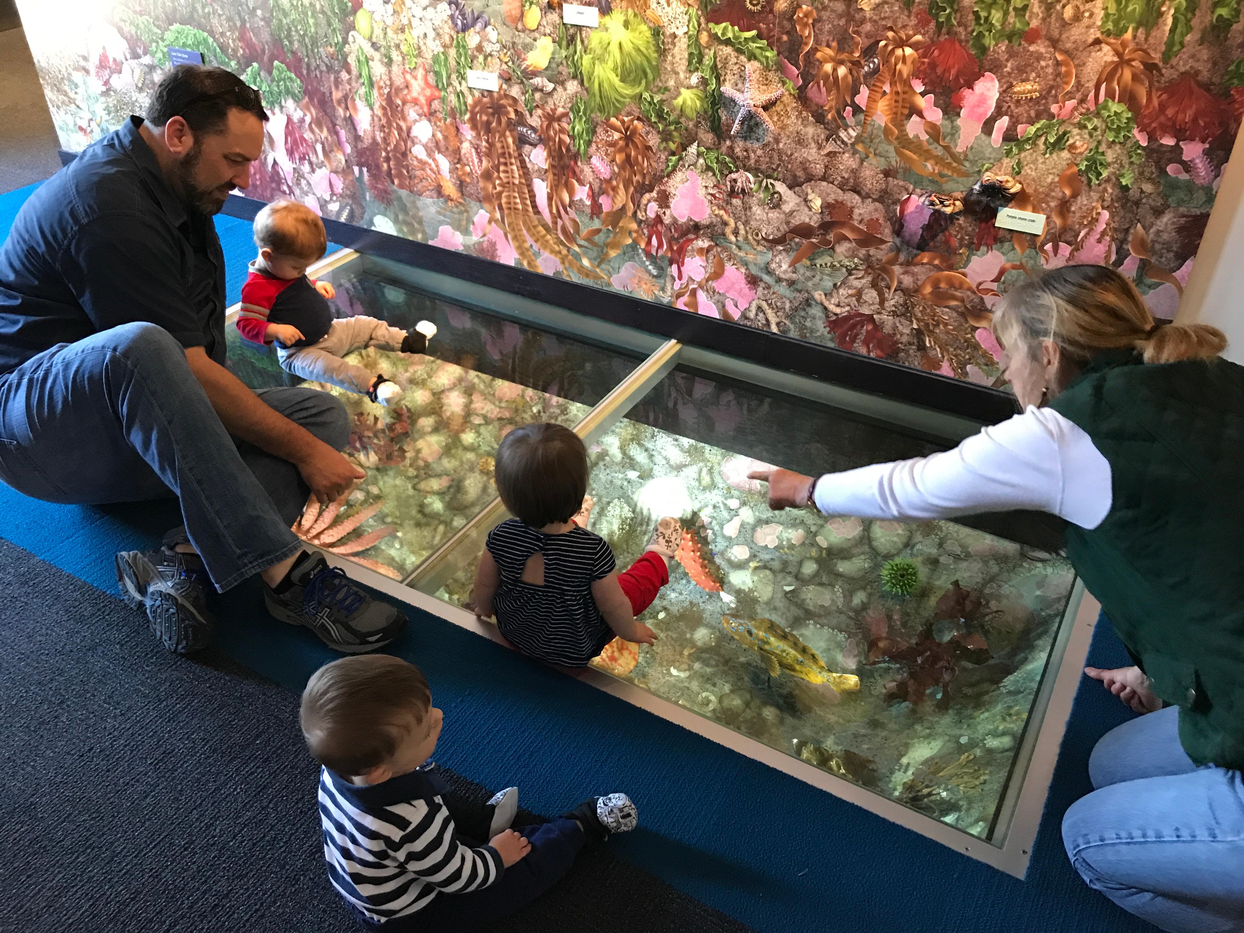Adults and small children look at a tidewater exhibit.