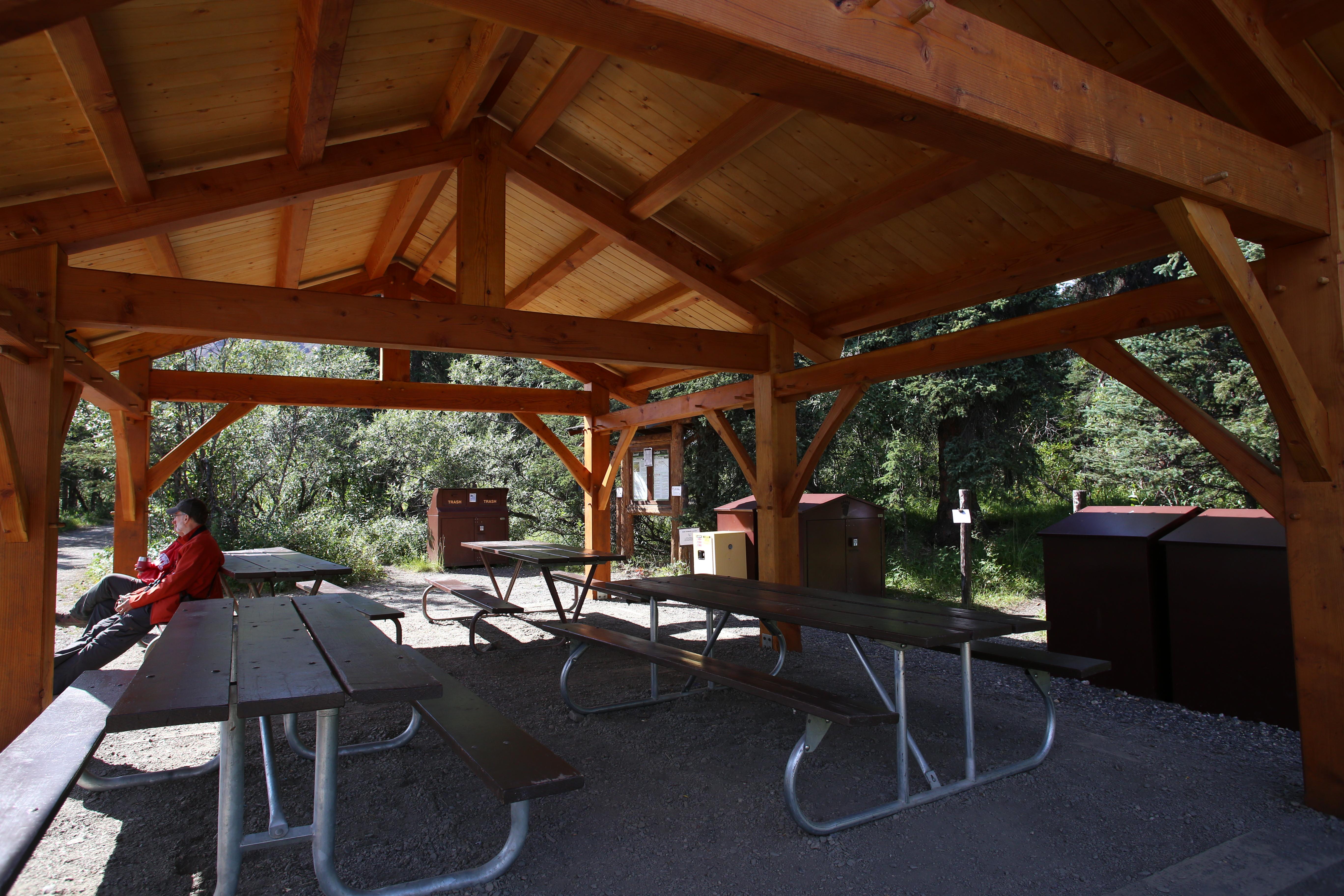 picnic tables covered by a wall-less, roofed enclosure in a forest