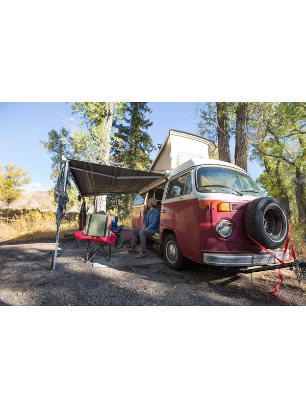 A VW camper van with a plaid shirted individual looking out into the park.