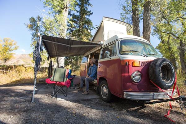 A VW camper van with a plaid shirted individual looking out into the park.