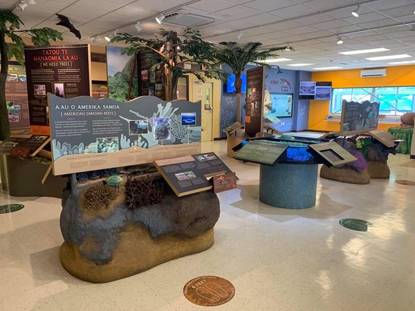 A room filled with exhibit panels mounted on pedestals and stones shaped like coral.