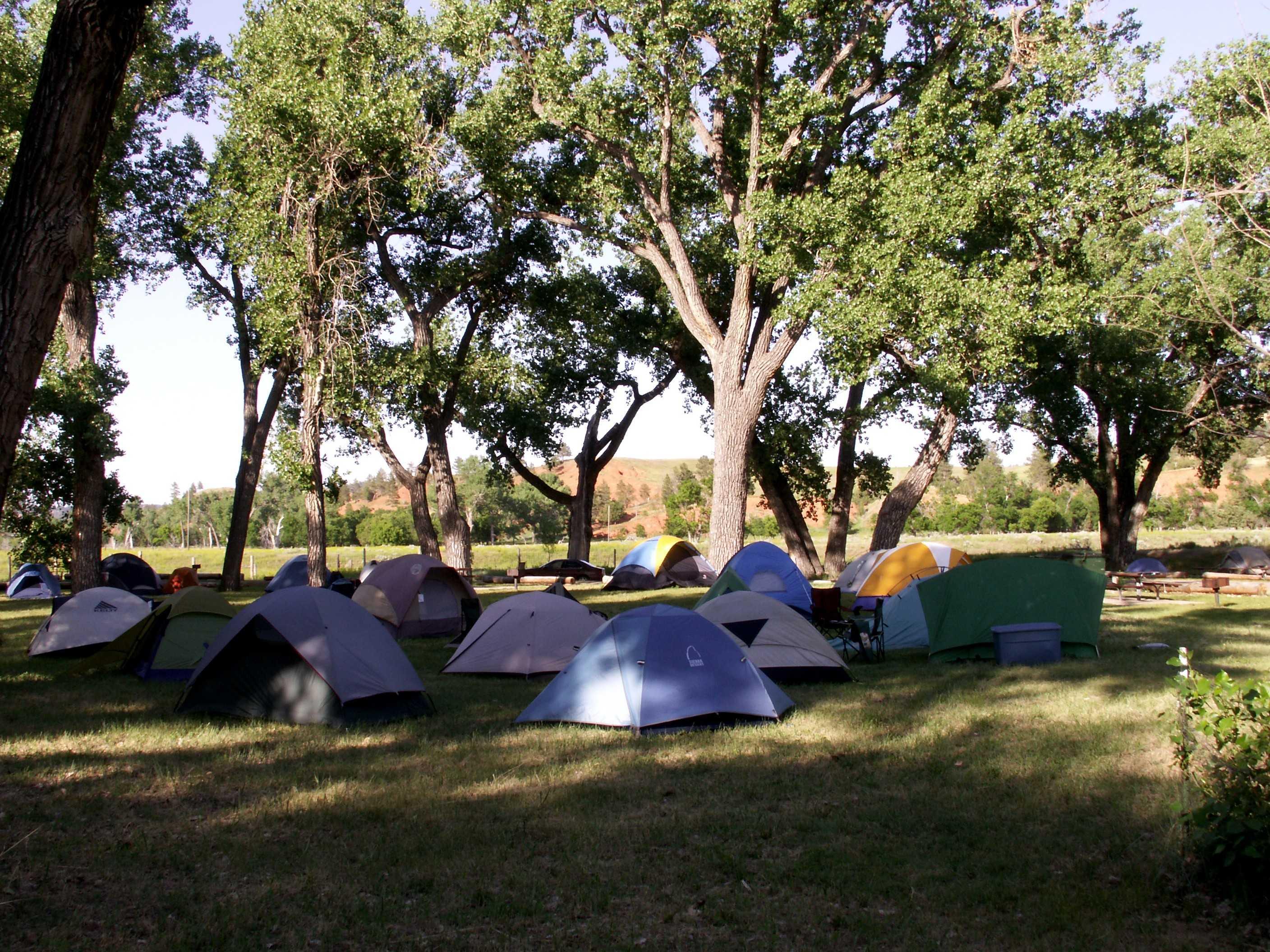 Several tents set up in a group site
