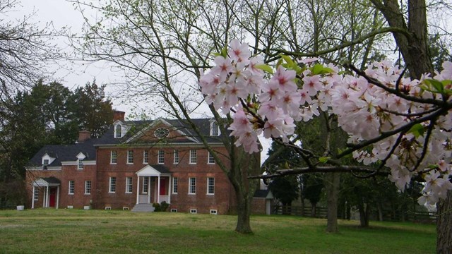 Harmony Hall