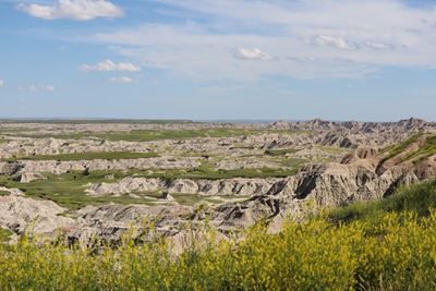 Jagged badlands buttes extended in horizon amid yellow flowers under a blue sky.