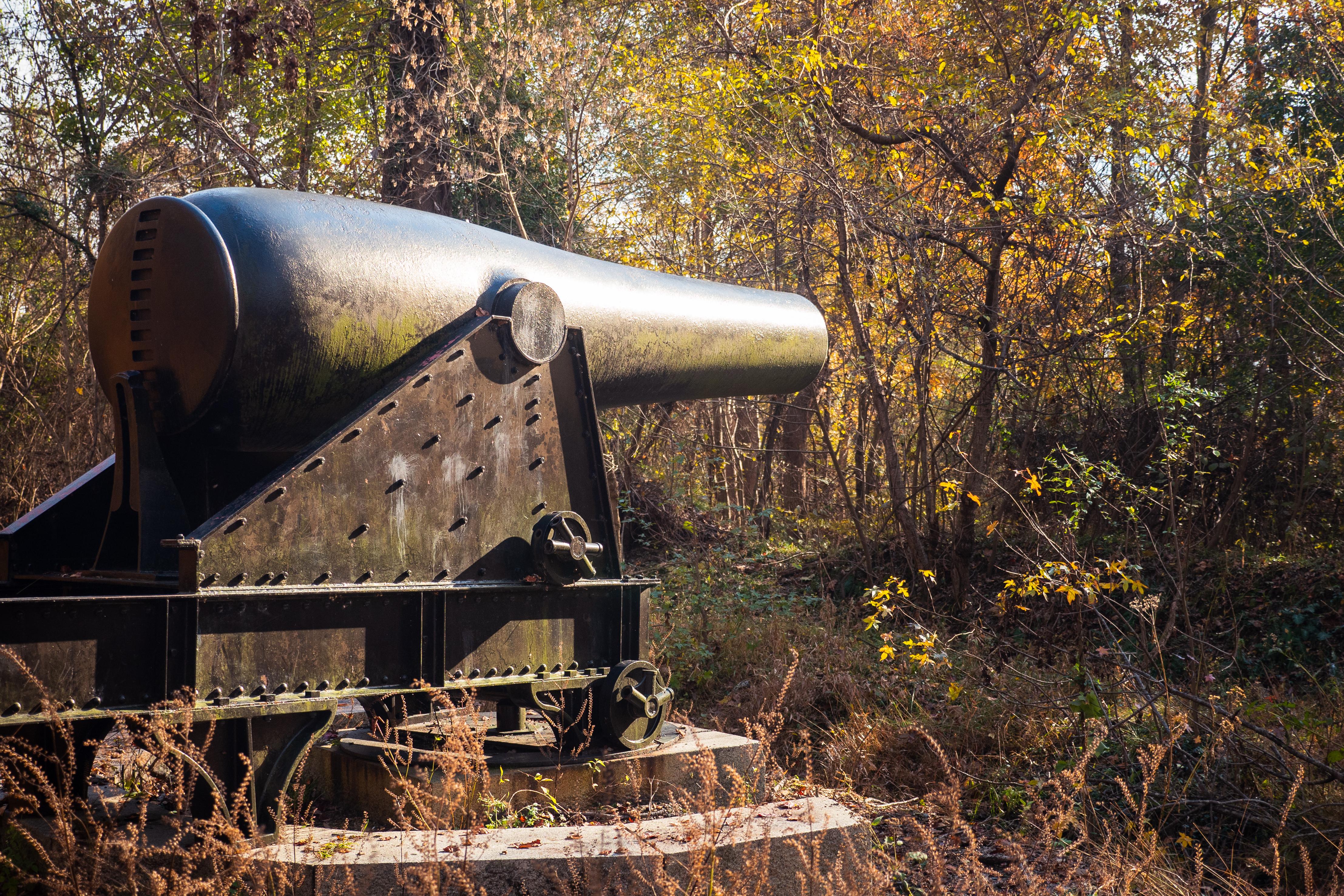 A cannon in front of fall leaves.