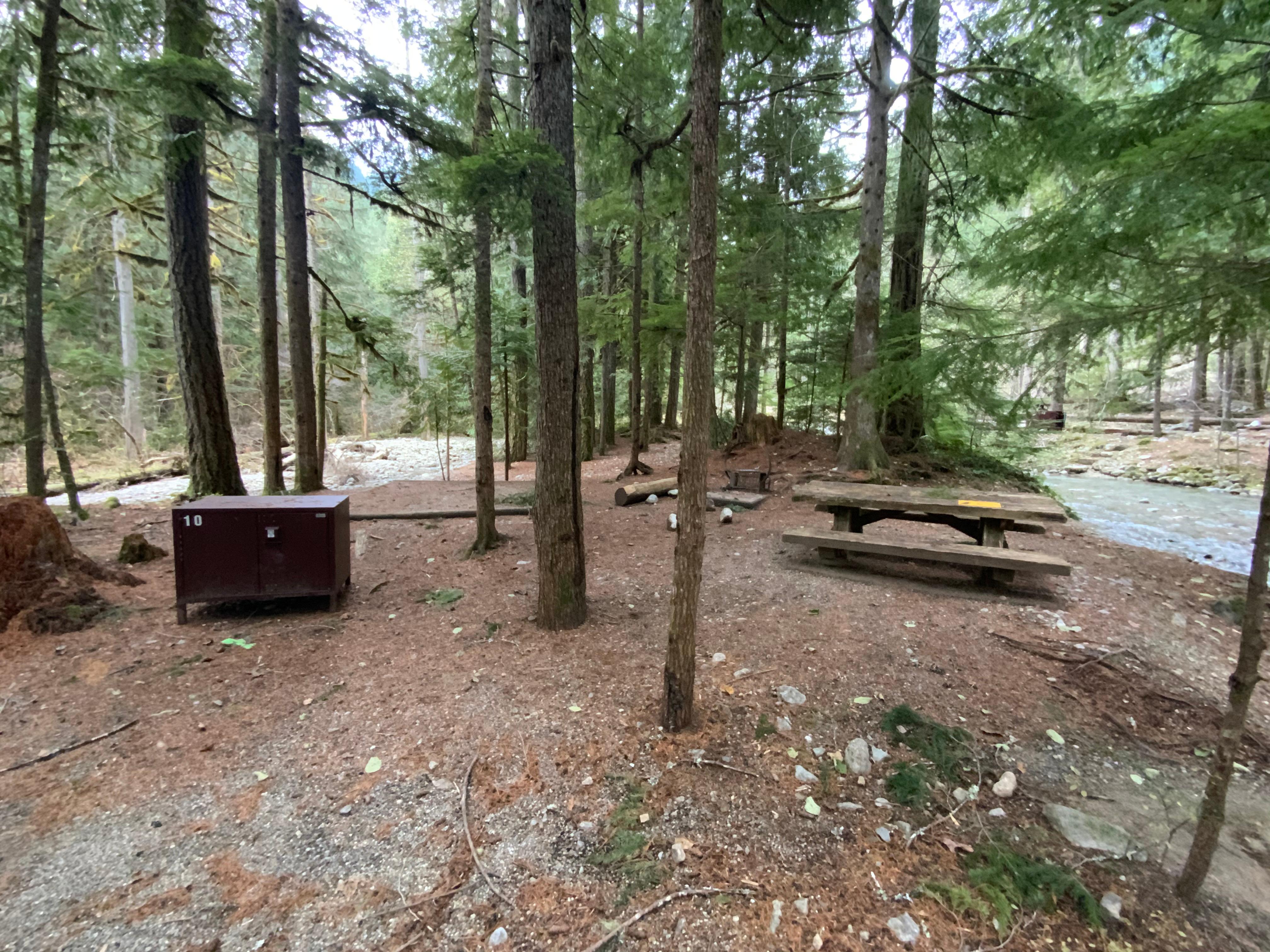 A forested campsite with a picnic table, tent pad, and bear box.