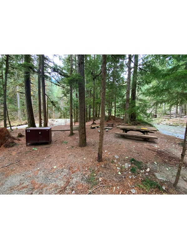 A forested campsite with a picnic table, tent pad, and bear box.