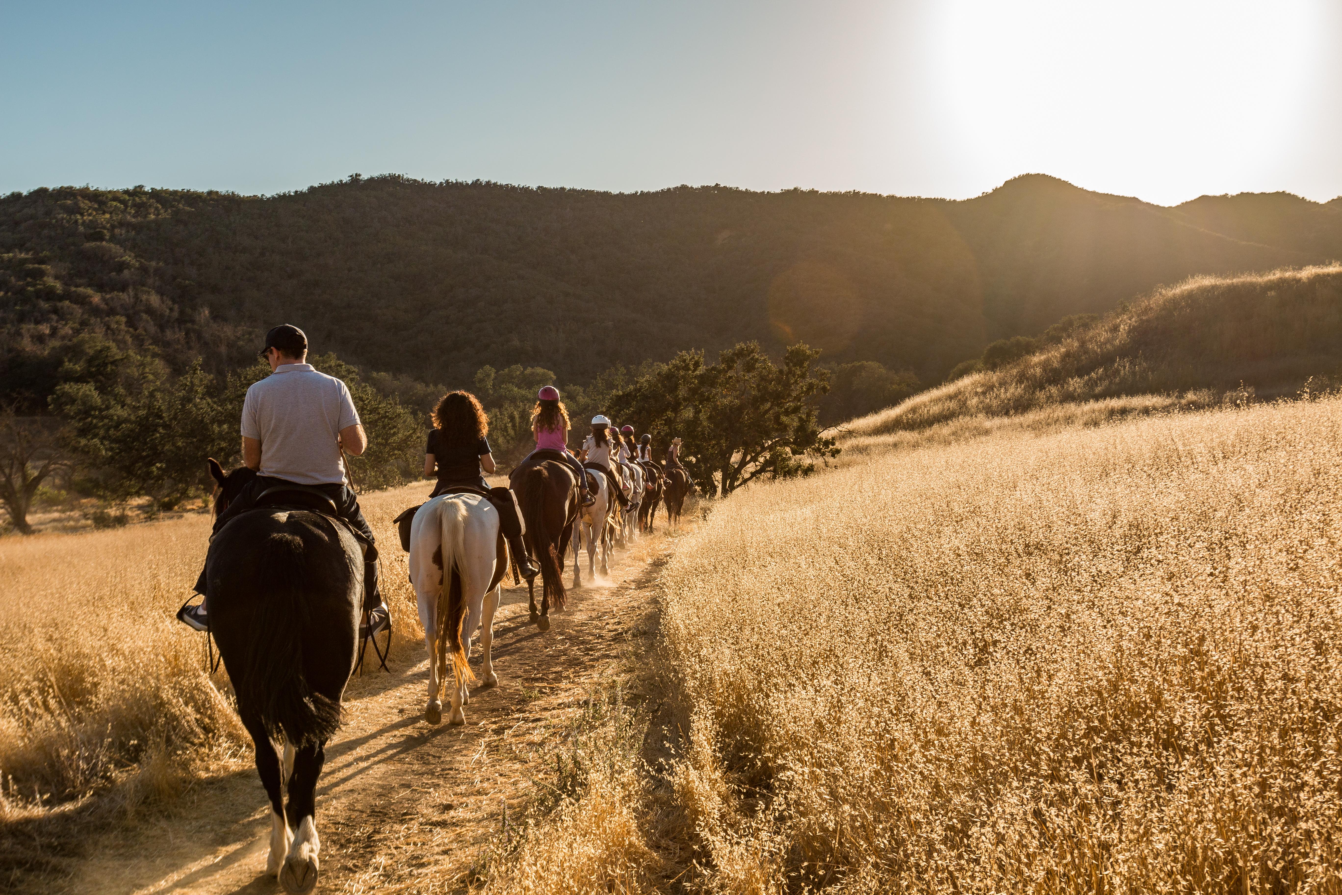 People riding horses into the sunset on a mountain trail.