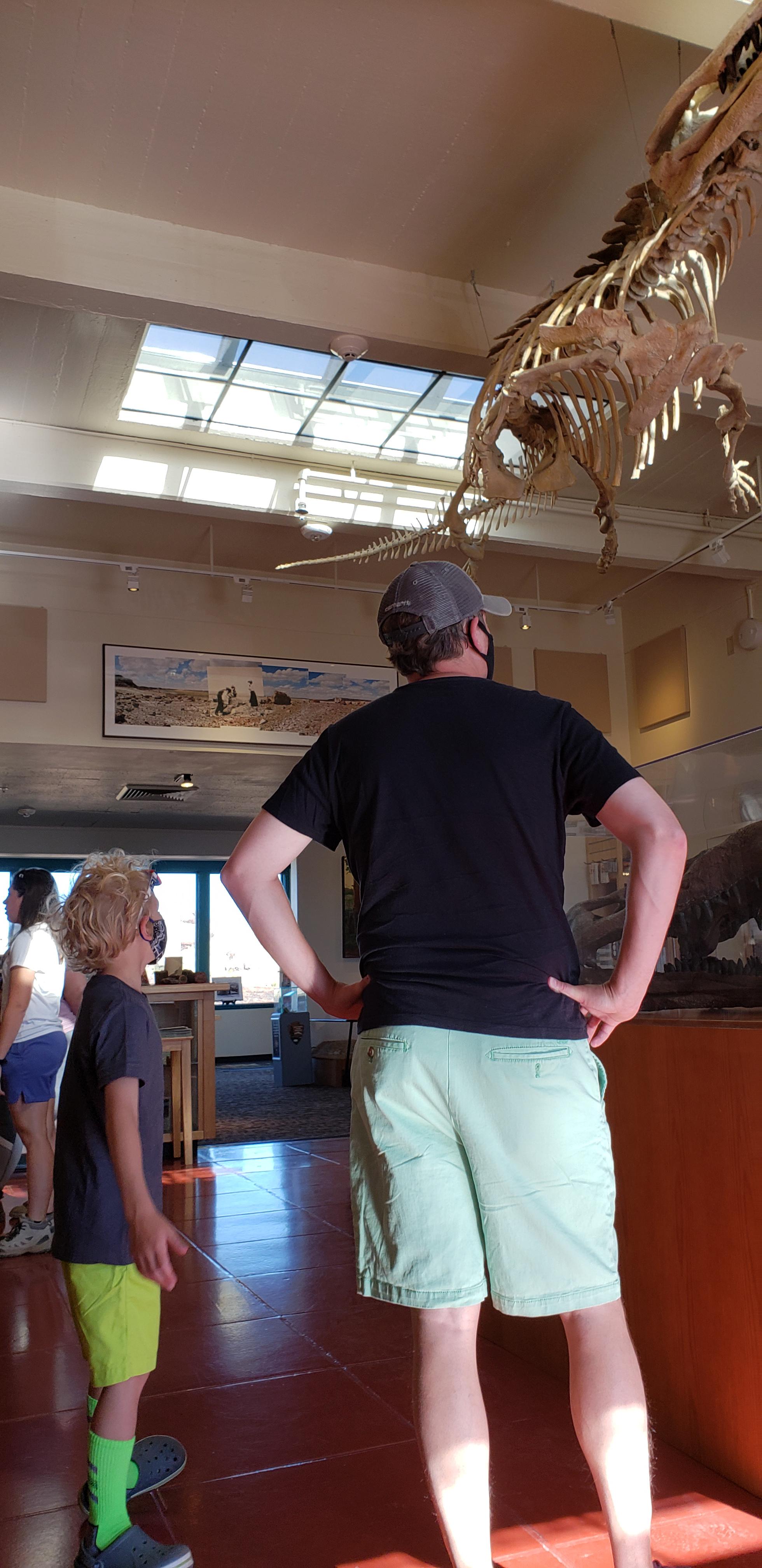 Two masked visitors looking at exhibits at Rainbow Forest Museum