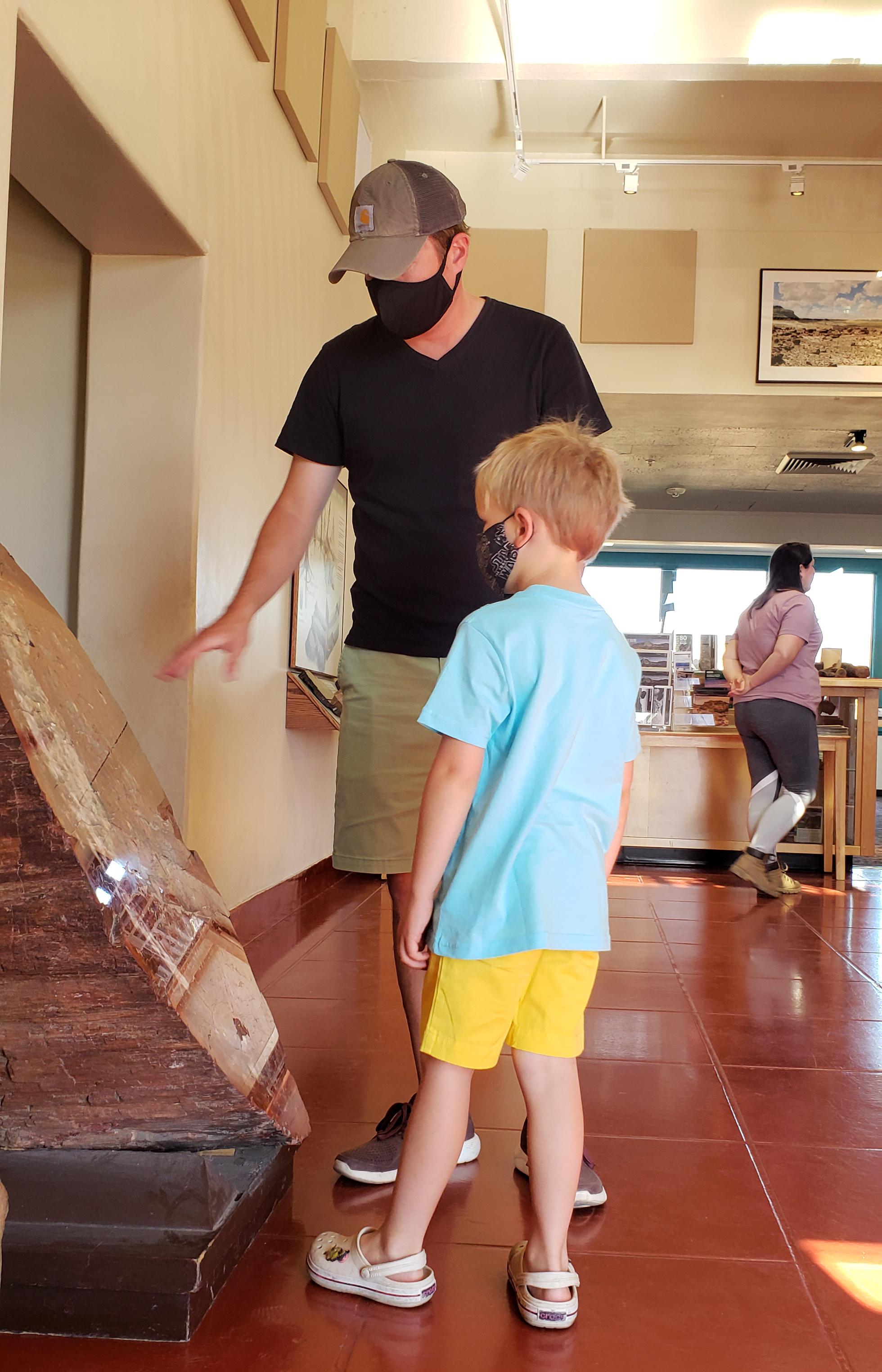 Two masked visitors looking at exhibits at Rainbow Forest Museum