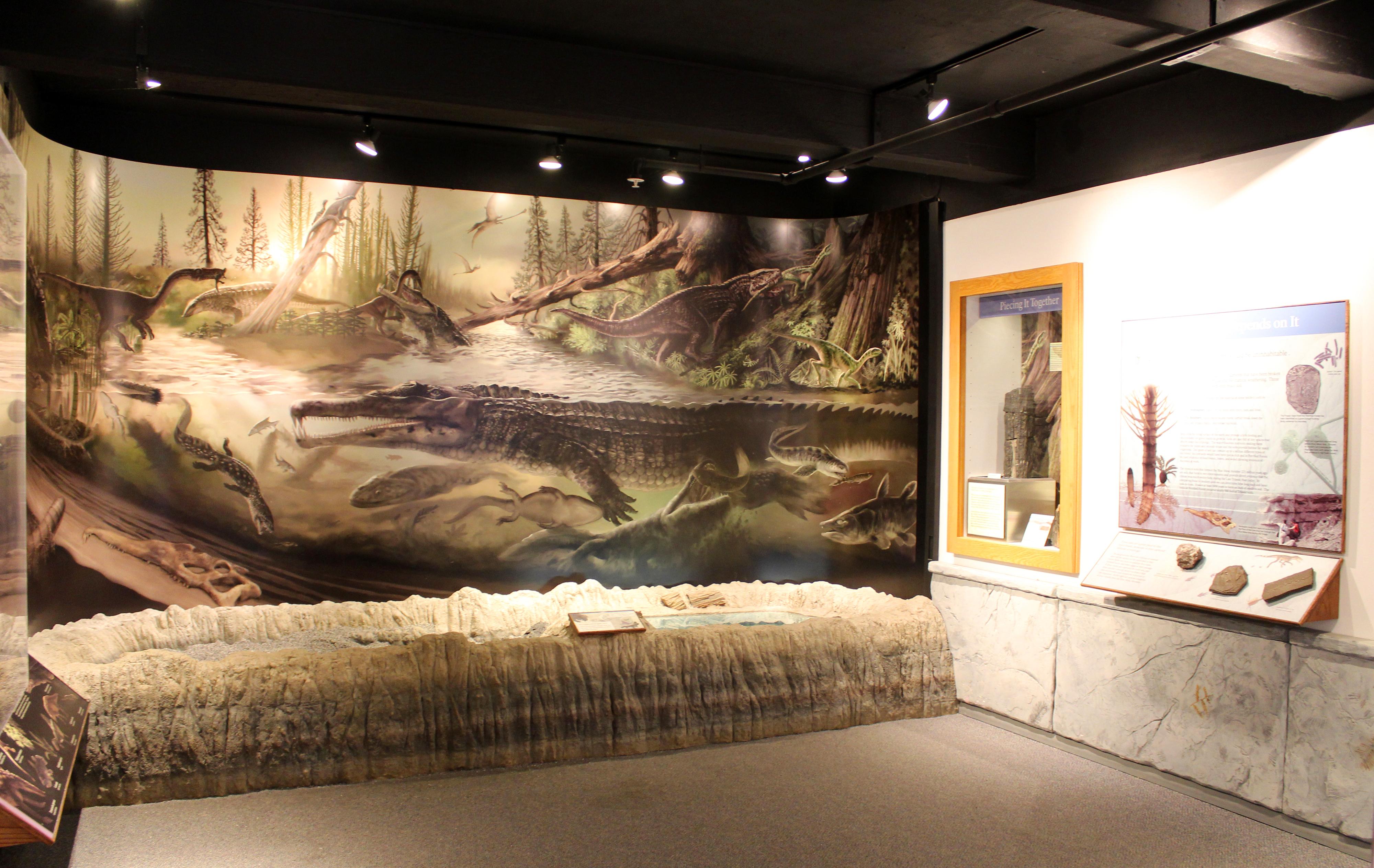 Fossil bone exhibits in lobby at Rainbow Forest Museum with Triassic mural in background.