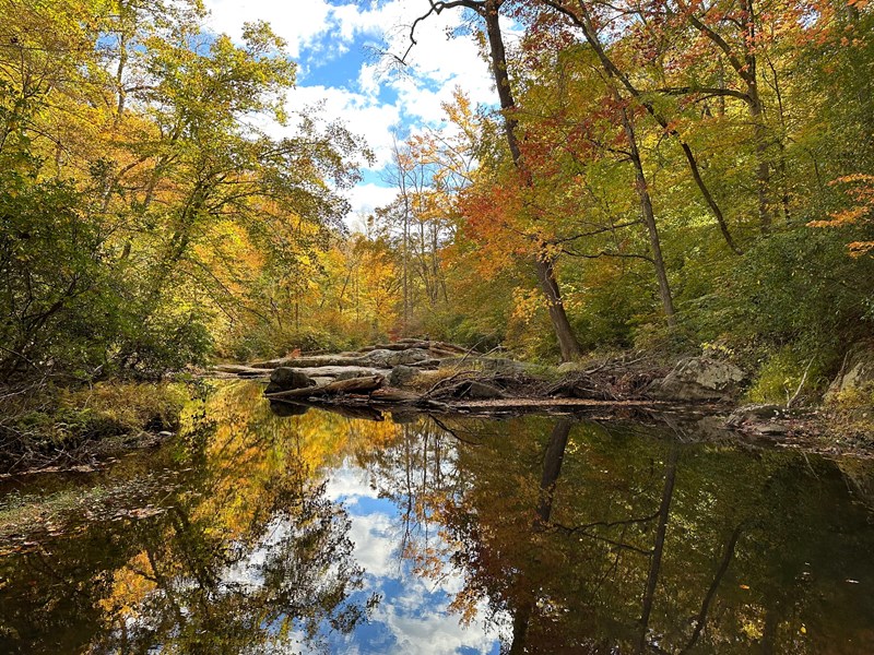 Quantico Creek in Fall Yellow and orange fall colors reflect in a still pool of water along a creek