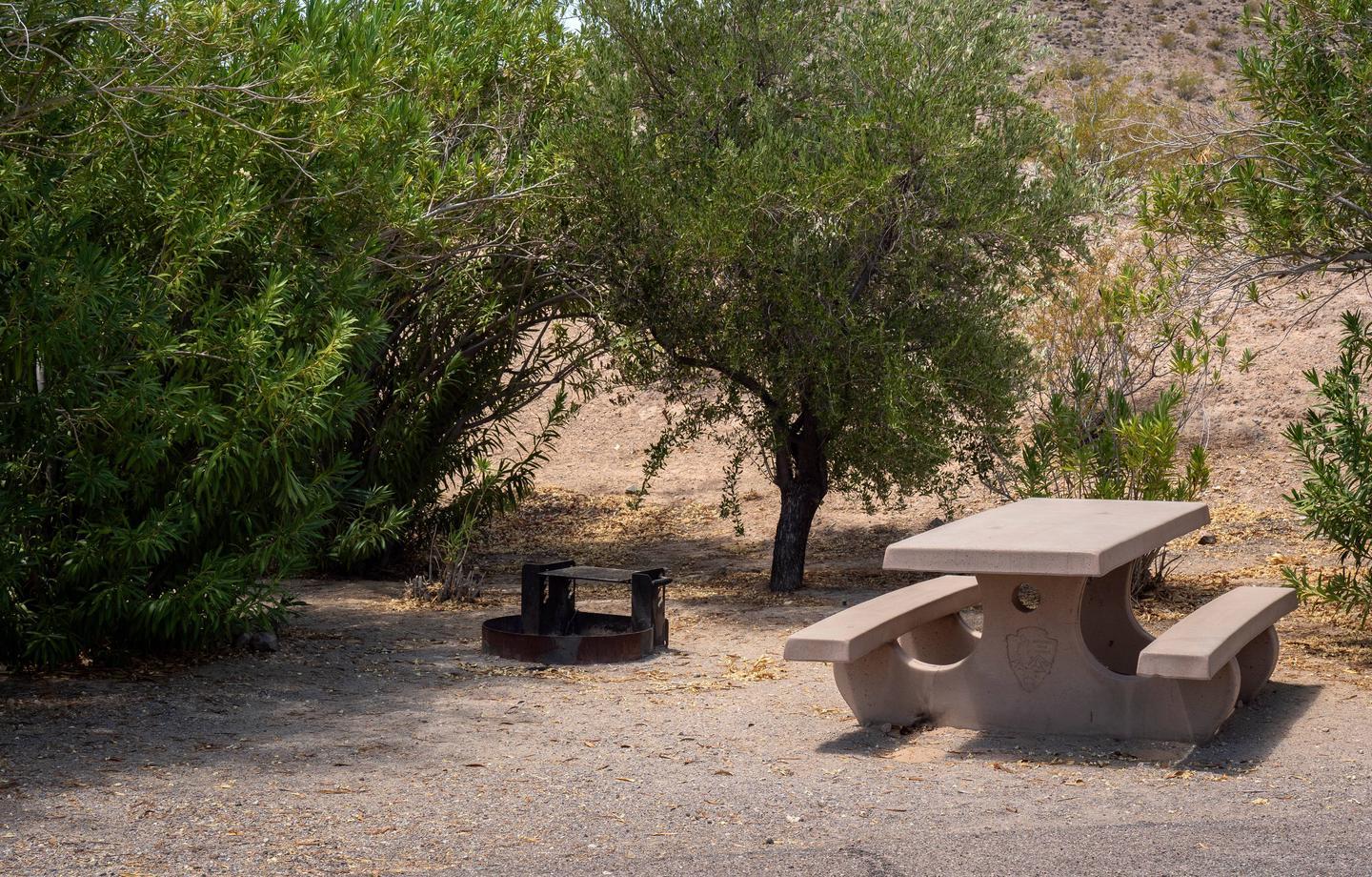 Photo of a picnic table and fire ring in a cleared area for tent camping with trees.